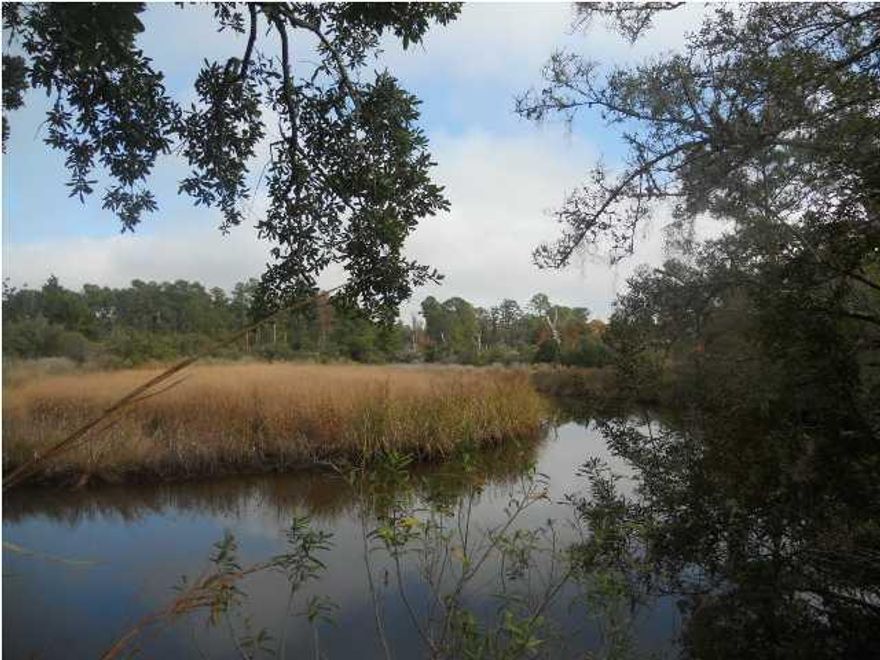 Ever dream of building the perfect home on the bay, one with a large private beach? Well here is your opportunity. This large parcel of land features over 450 feet on the Bay with a little under an acre of land to build the perfect home. There is a charming creek that meanders through the right side of the property that is great for fishing and canoeing. The county has verified that one single family home may be built on the property and that utilities are available. There are wetlands on the property that will require a bridge to be built to access the uplands on the bay, the parcel is priced accordingly. A DEP report is available to review.