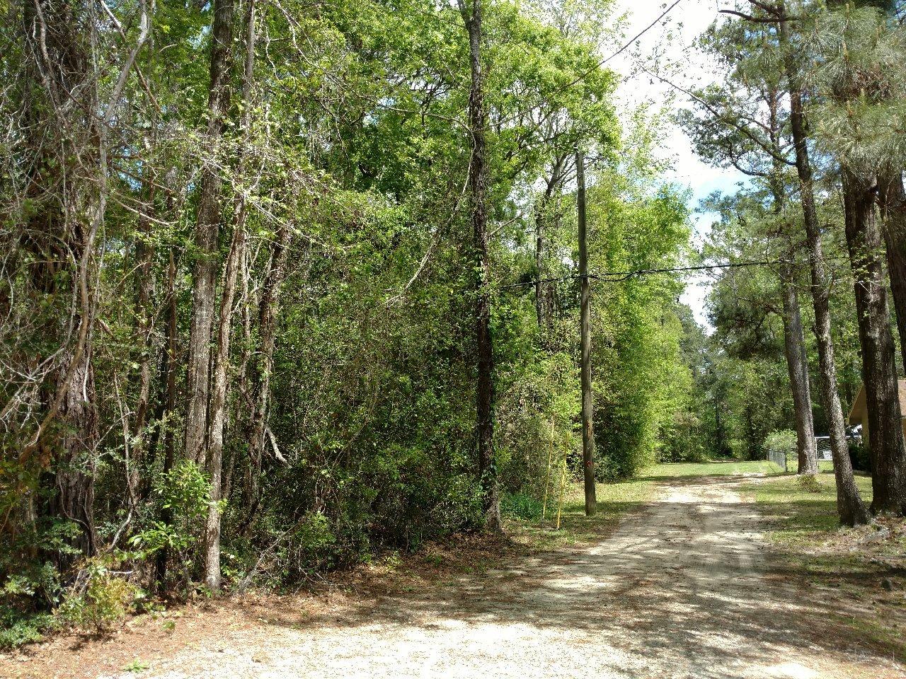 UNIQUE ACRE & LOCATION! One Acre on Black Creek Road! Close to the Black Creek Launch for fishing on Black Creek and Choctawhatchee River. Unique Zoning from Walton County - Commercial or Residential for one single family home. Great opportunity to live, work and fish from home! Wooded lot gives privacy for building a full-time residence or a weekend get-a-way. Easement road on the side boundary gives corner and access off Black Creek Road. Seller states that owners have right to use the Common Area at Charlotte Estates. City Water is available. Freeport is a growing area and the River is an ever-popular Fishing Paradise!