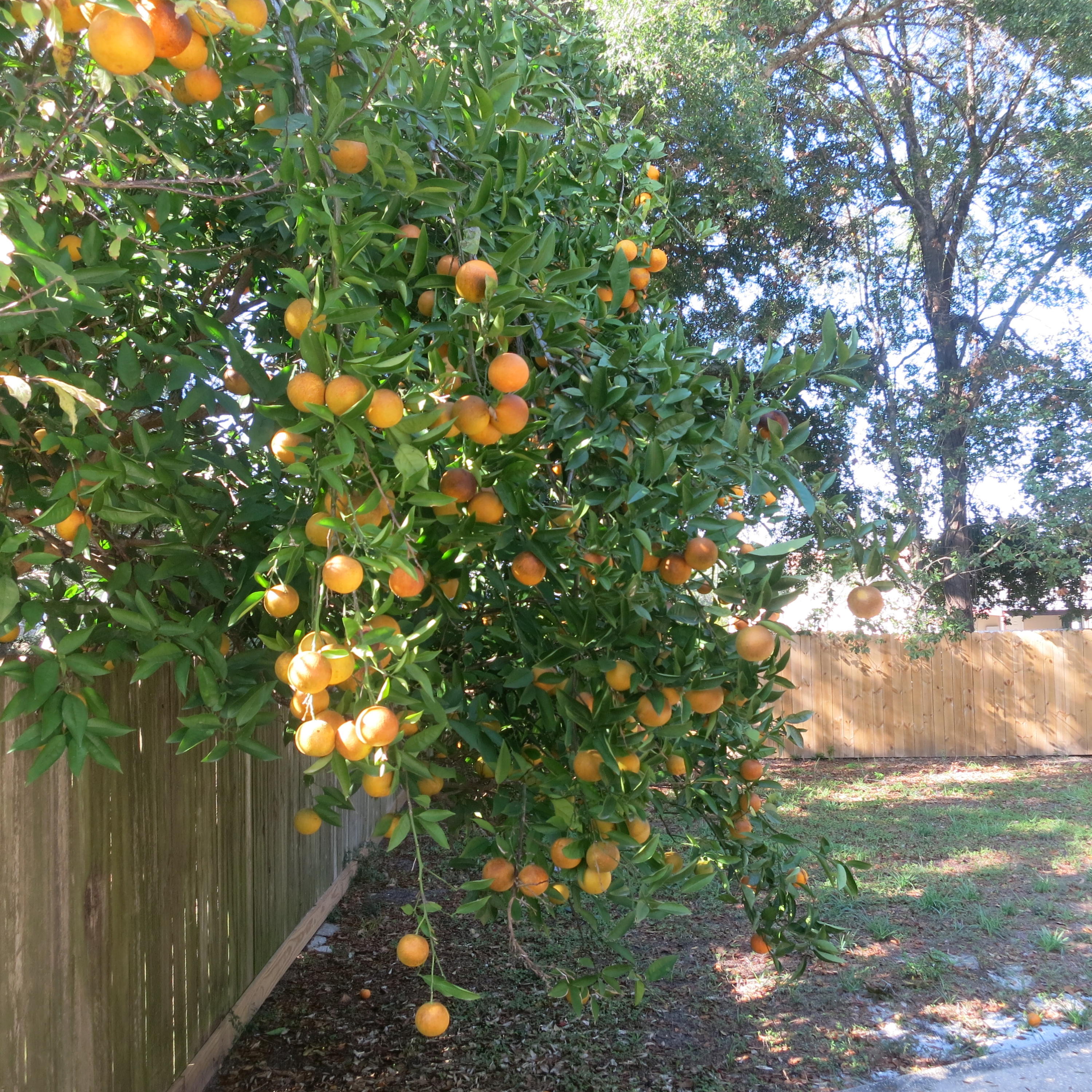 PARK PLACE 2ND ADDN - Residential