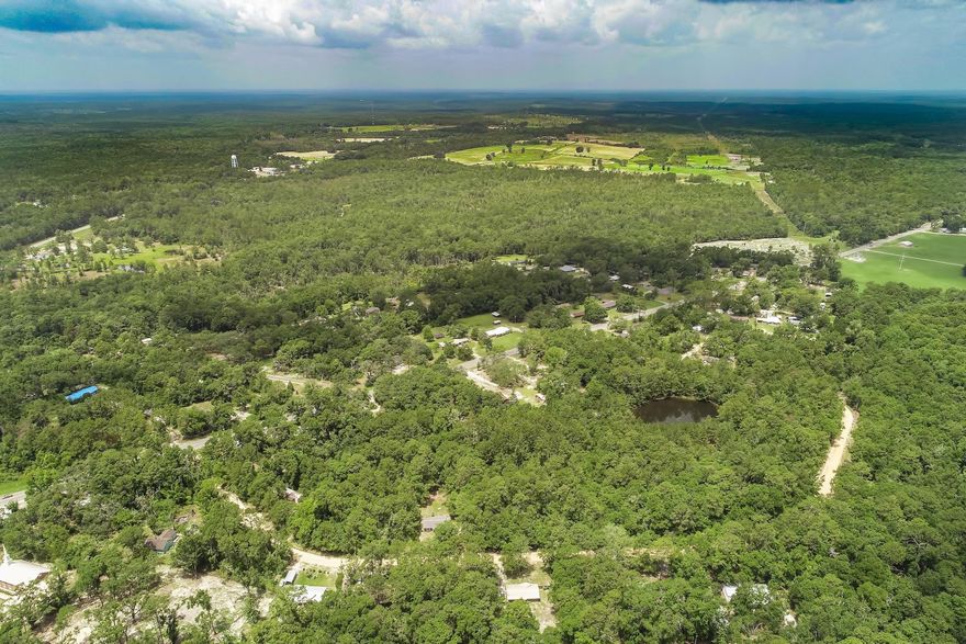 Have You Been Looking For The Perfect Homesite To Build Your New Home In Ponce De Leon? You'll Love This Wooded Lot That's Just Minutes From I-10. Nestled In Blue Creek Estates, You'll Have The Benefits Of No HOA Within A Private & Secluded Community. Seller Has Multiple Homesites Available. As Always, Buyer to Verify All Items Deemed Important: Acreage, Lot Dimensions, Taxes, Etc.