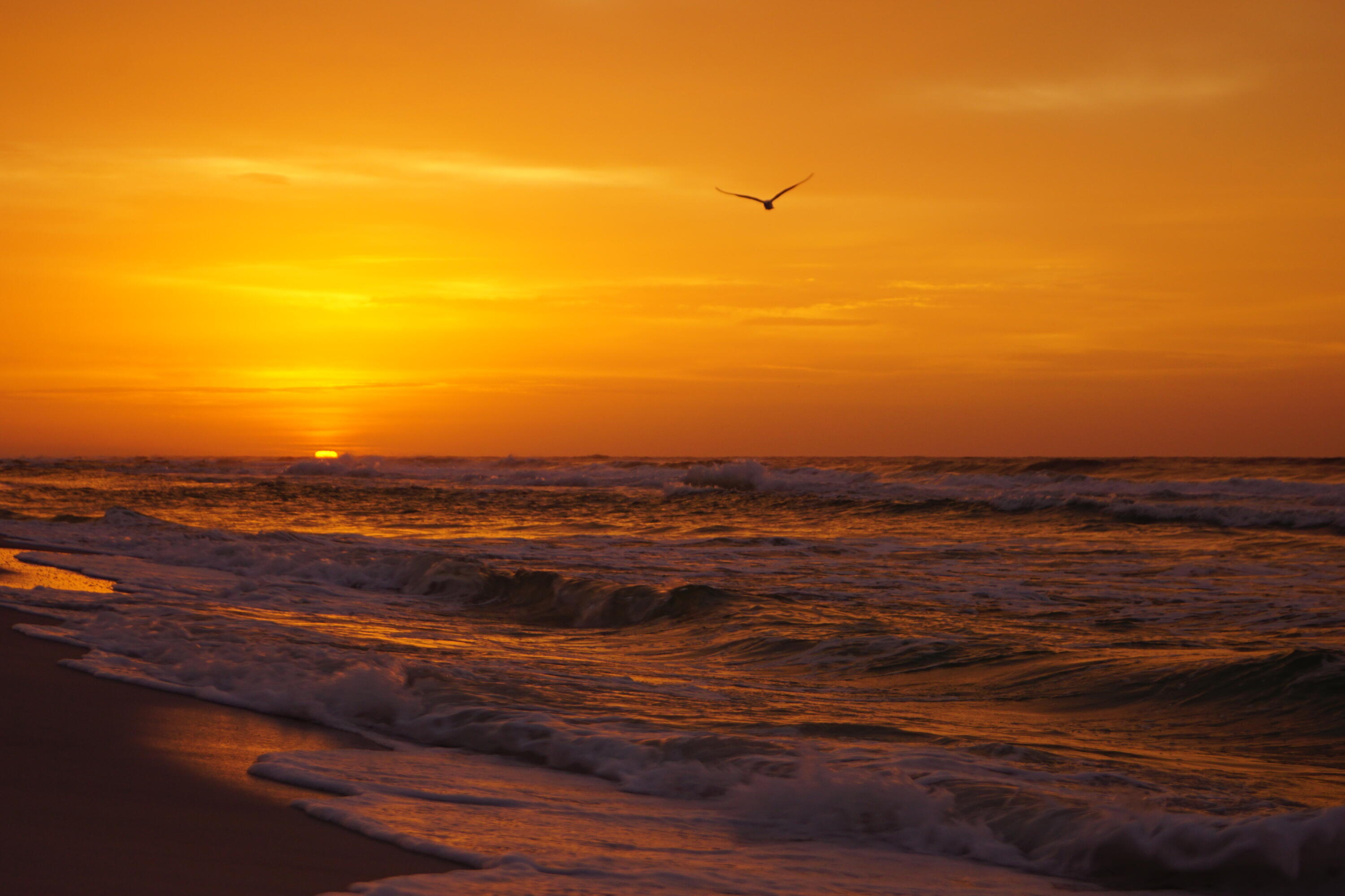 HATCHEE SHORES - Land