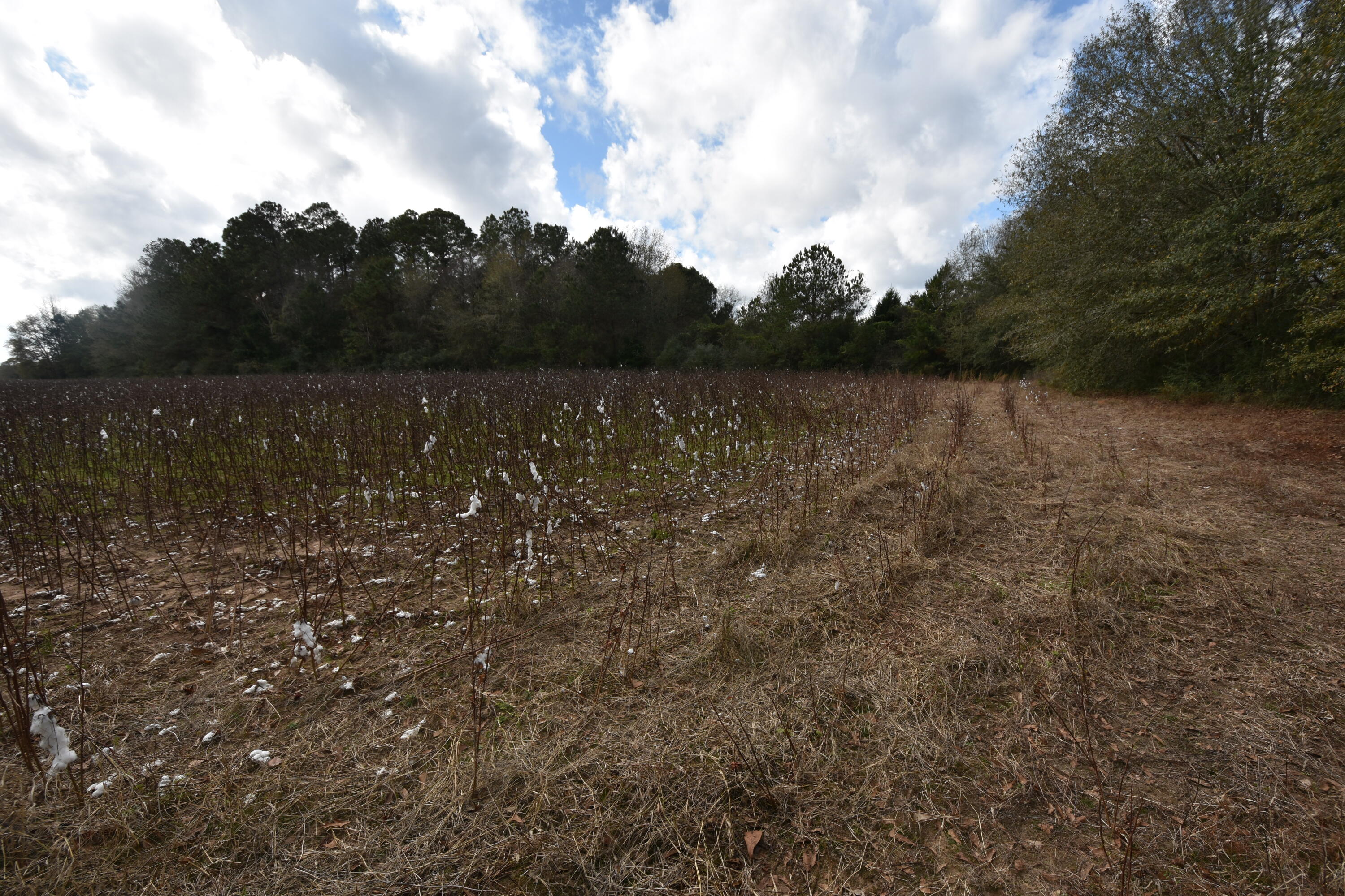 METES & BOUNDS - Land