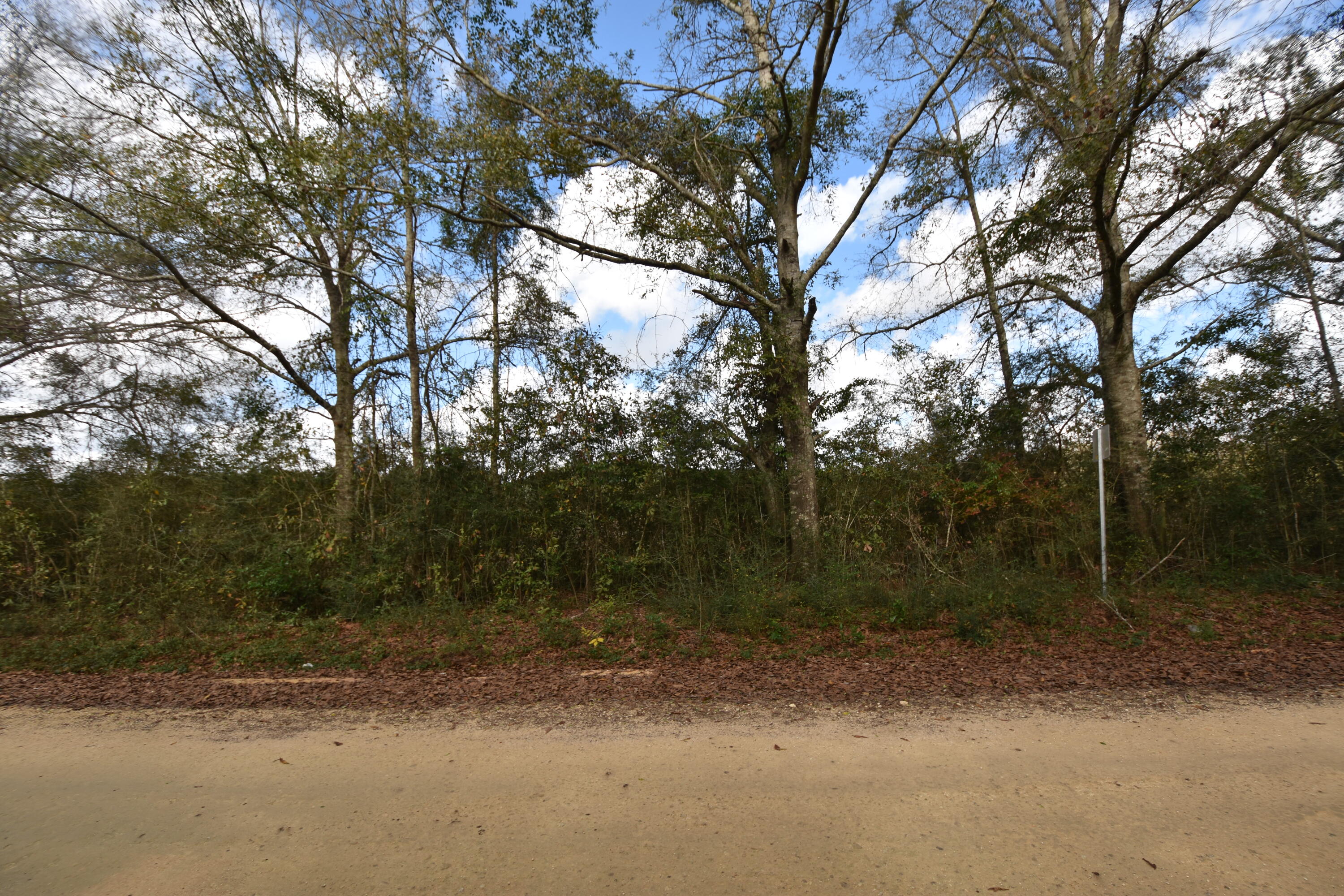 METES & BOUNDS - Land