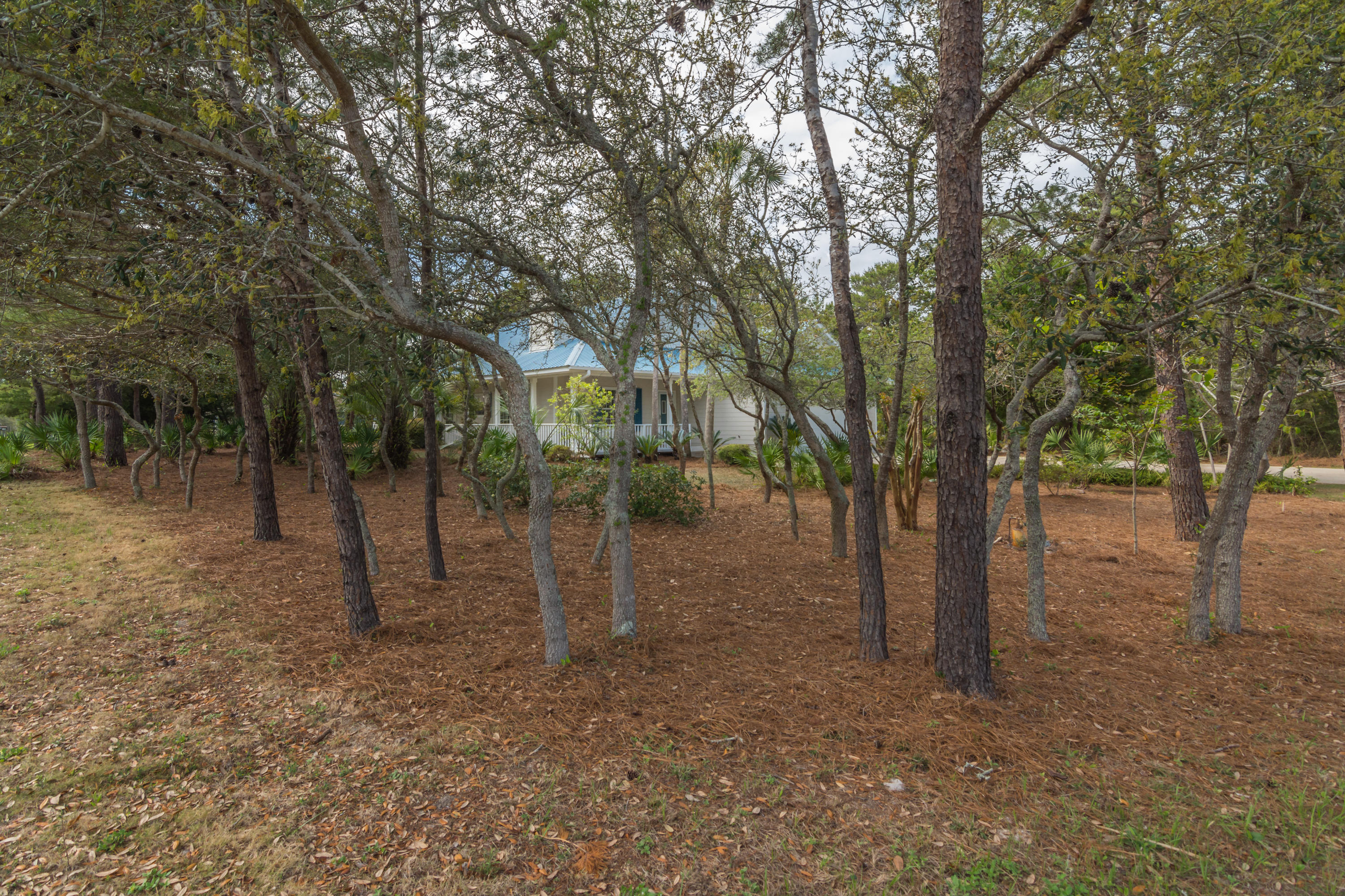 Santa Rosa Ridge - Residential