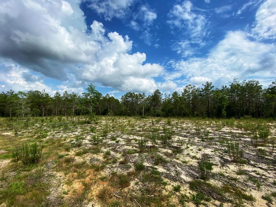 BUILD YOUR DREAM HOME! 5 flat lots, 4 have been cleared and surveyed.