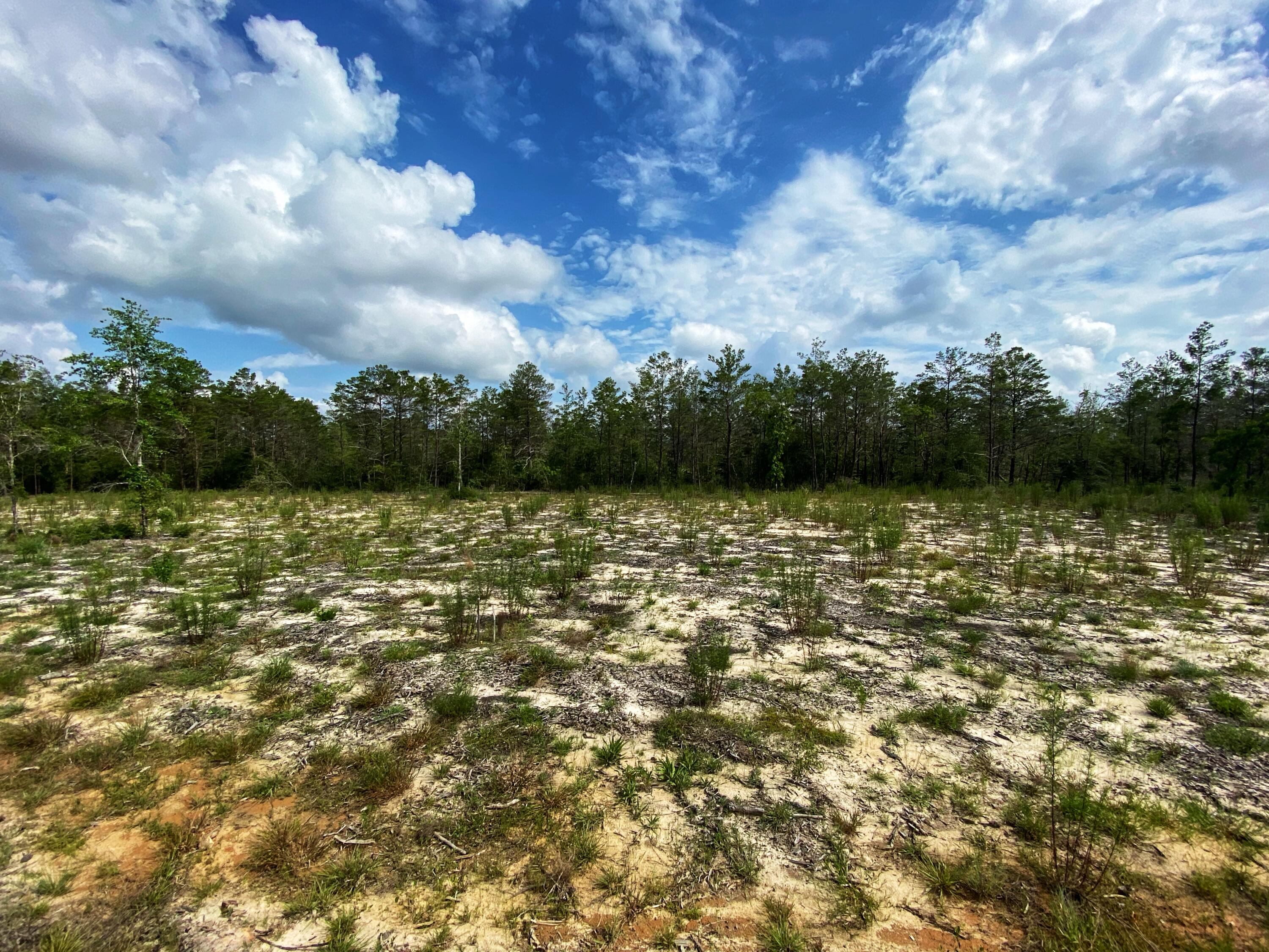 OAKWOOD HILLS UNIT III - Land