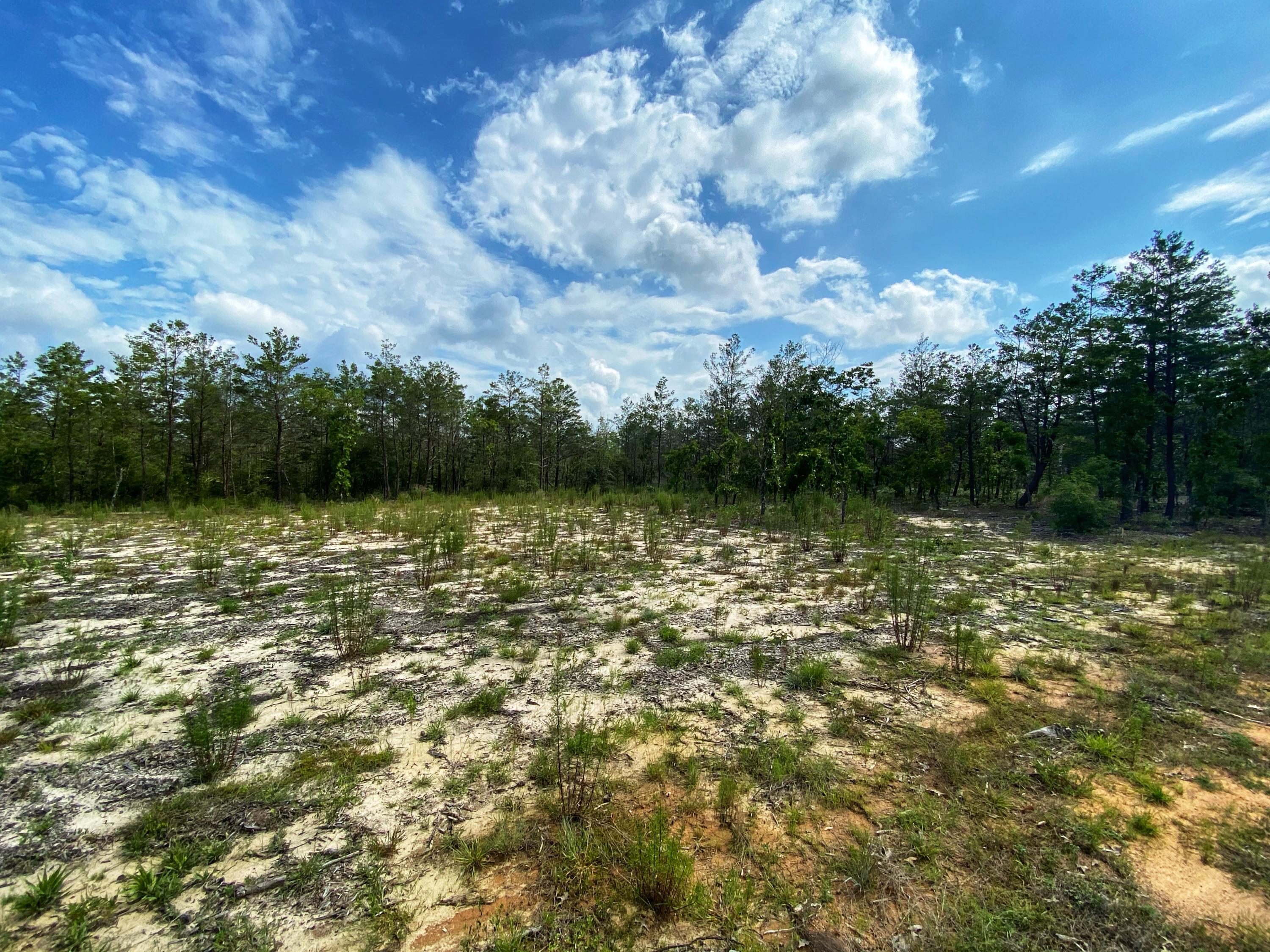 OAKWOOD HILLS UNIT III - Land