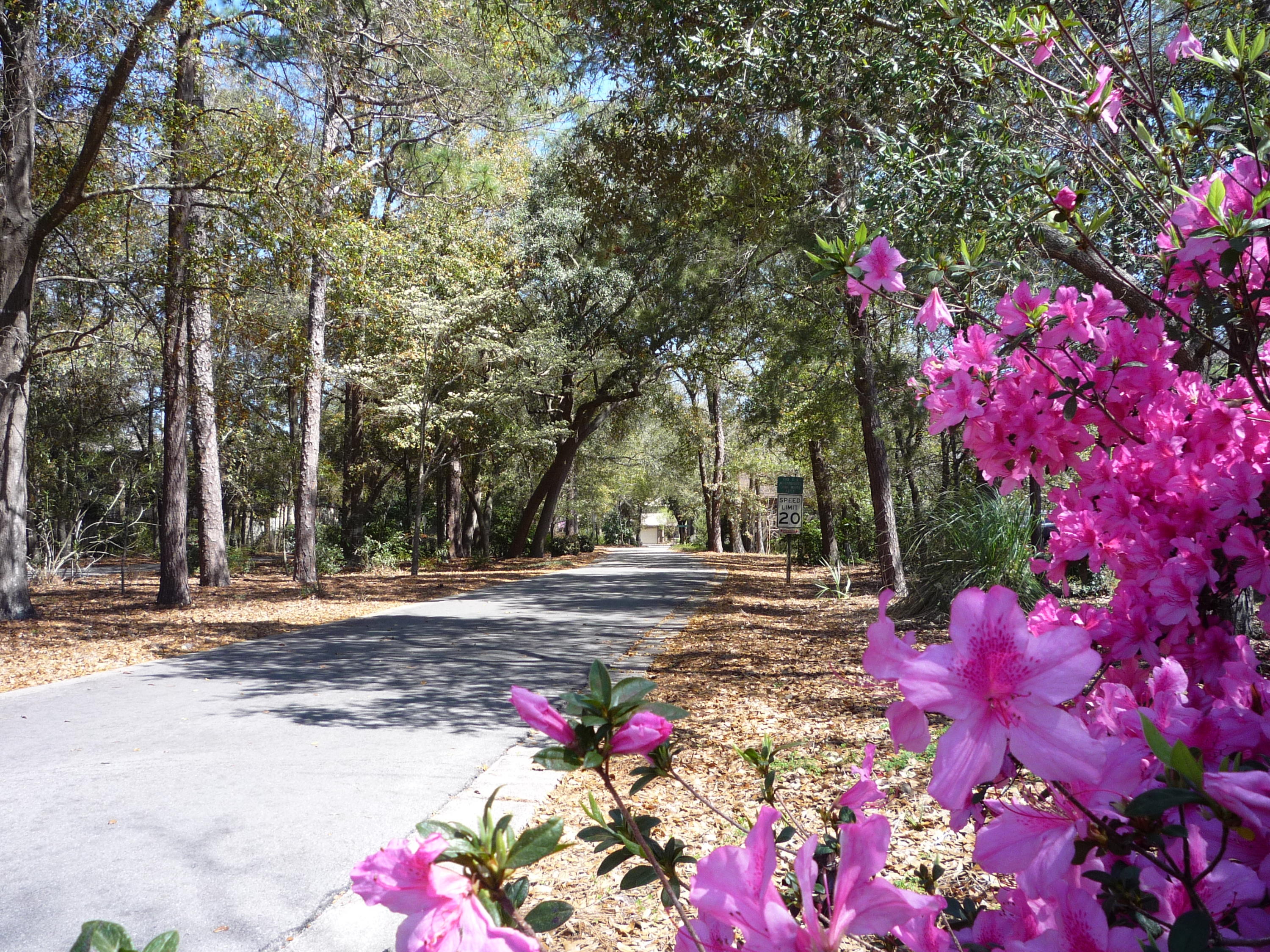 DONLABROOK GARDYNS - Residential