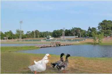 MCCASKILL 2ND ADDN - Land