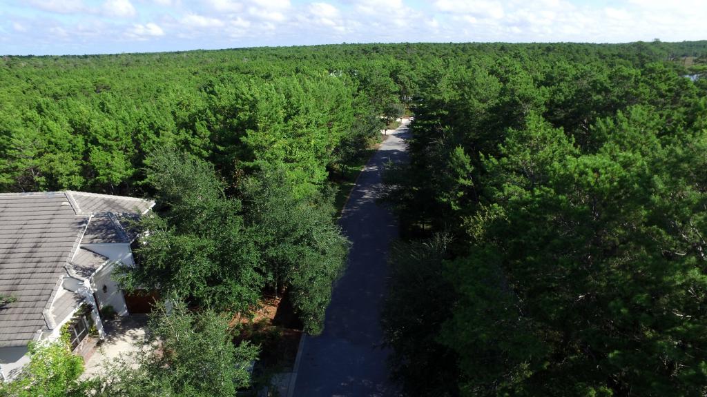 LANDING AT CAMP CREEK S/D - Land
