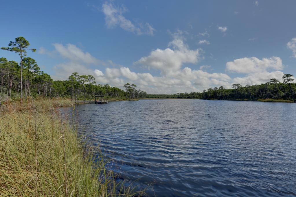 LANDING AT CAMP CREEK S/D - Land