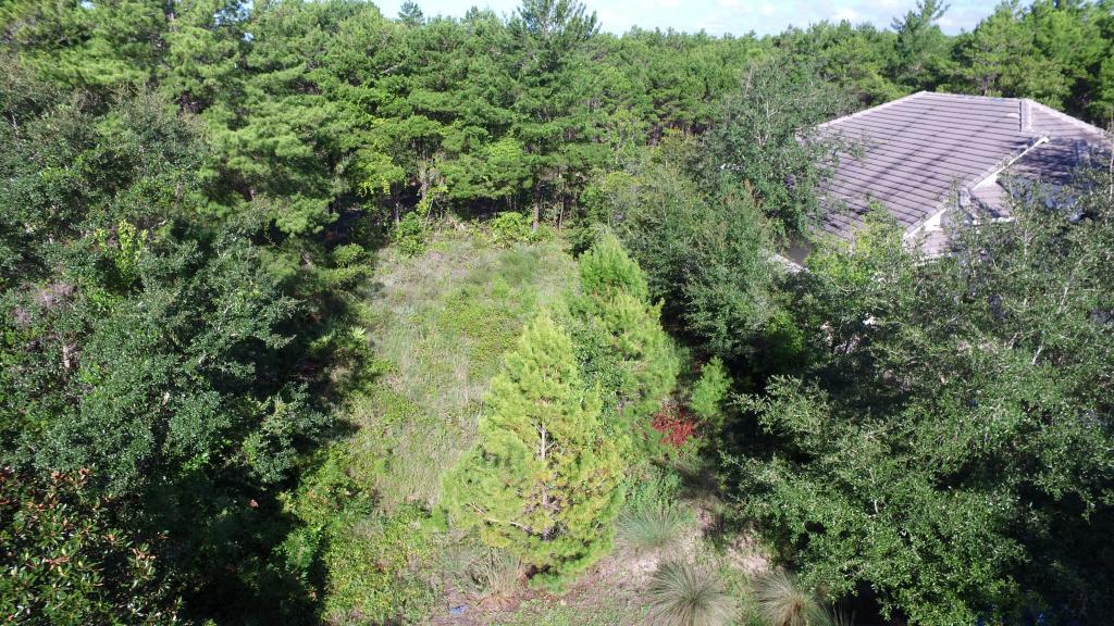 LANDING AT CAMP CREEK S/D - Land