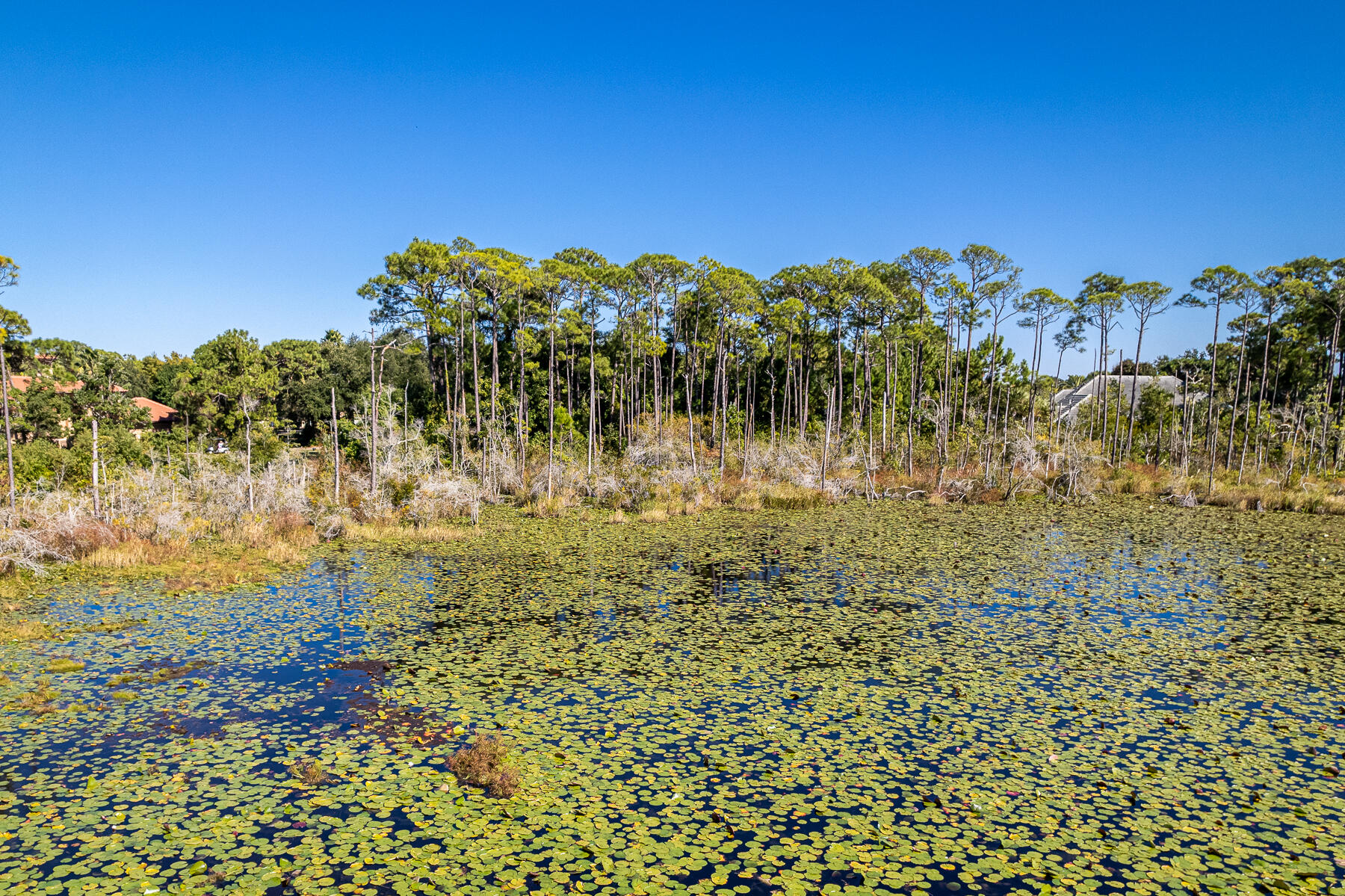 REGATTA BAY PH 3 - Land