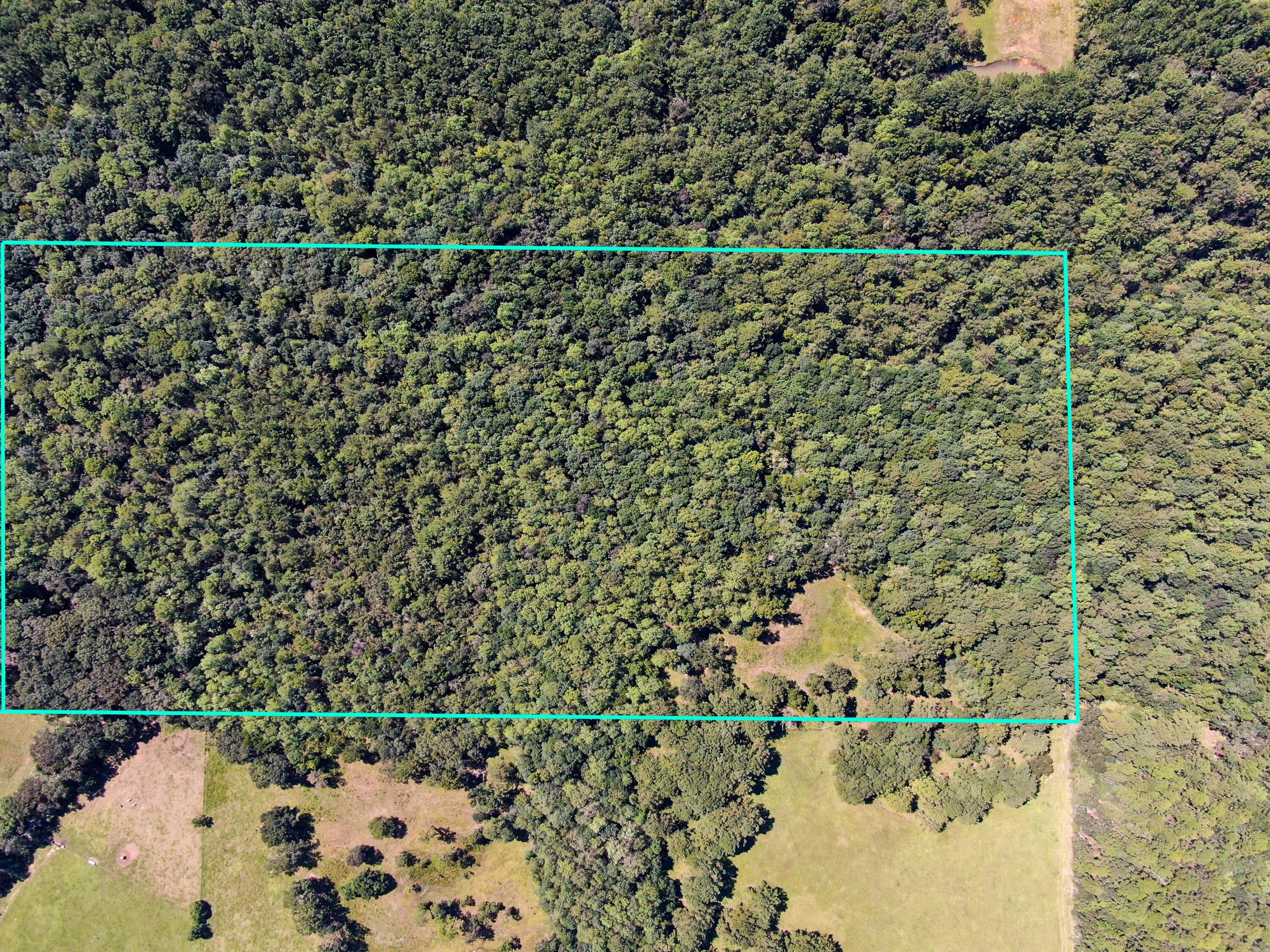 Imagine the possibilities on this gorgeous 20 acre piece of property! There are approximately 2 acres cleared for a potential homesite. A beautiful creek runs through the northwestern part of the property, where wildlife abound. There is a mixture of pines and hardwoods, with a beautiful pasture view to the East. This 20 acre piece will be cut out of the west side of the 60 acre parent parcel. Legal description is for the 60 acres.