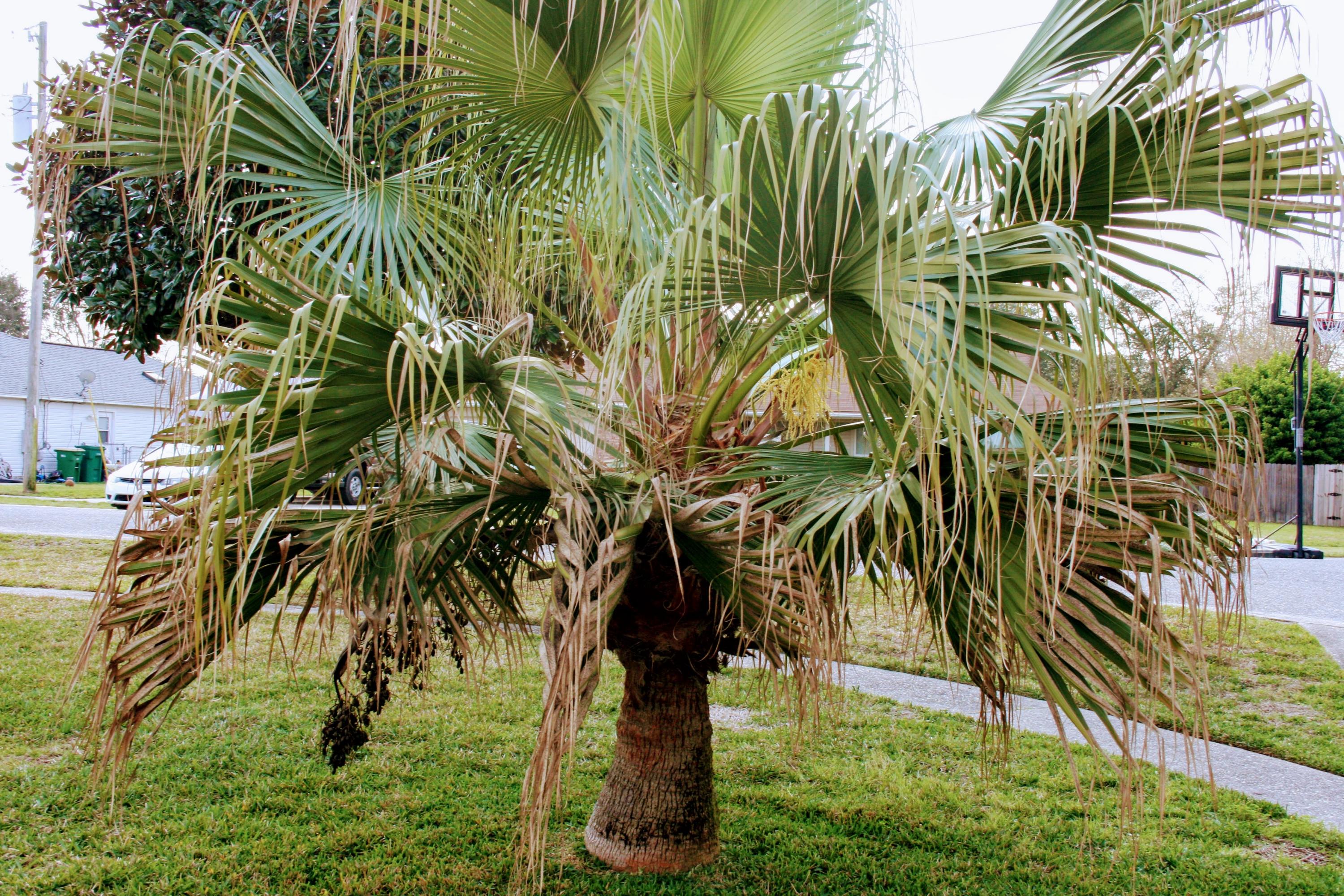 COUNTRYVIEW ESTATES - Residential