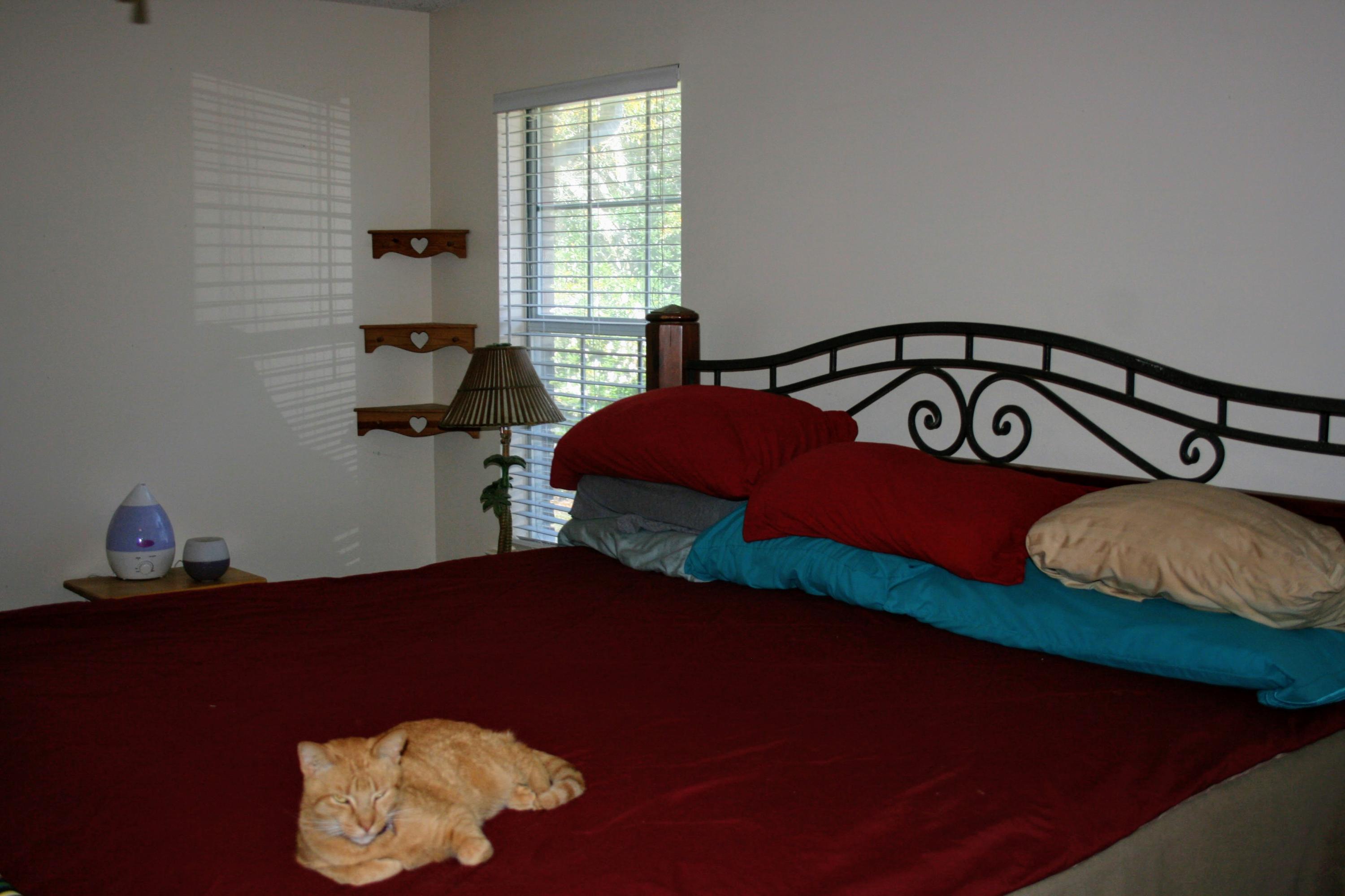 COUNTRYVIEW ESTATES - Residential