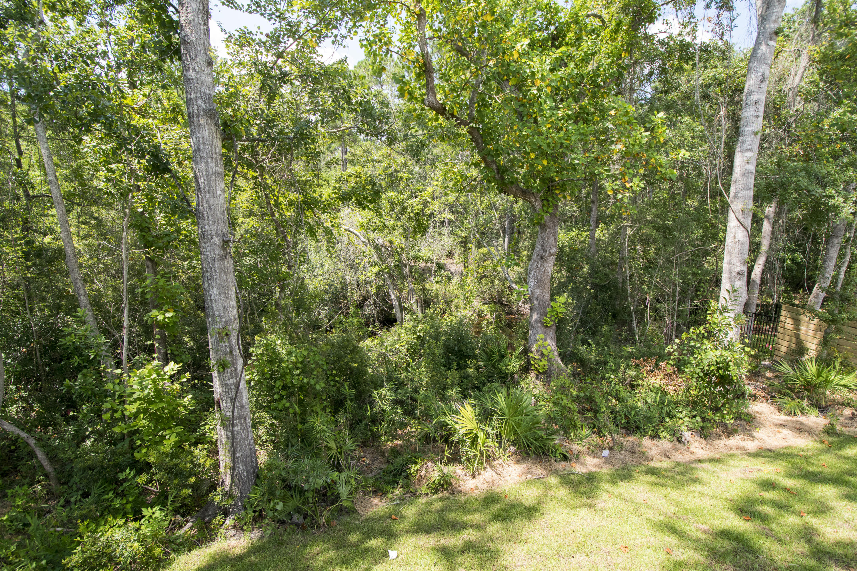 AUDUBON POINT - Residential