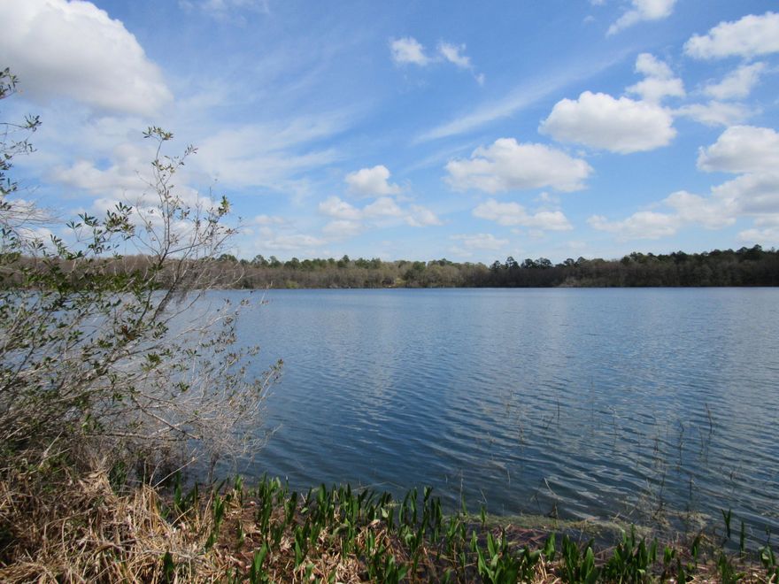 Two beautiful WATERFRONT lots on Blue Pond! Blue pond is a pristine 50 Acre Spring Fed Lake that is 30ft. deep! This lake is excellent for fishing and kayaking! (trolling motors only)The perfect place to build your dream home! If you are looking for peace, quiet & solitude, THIS IS IT! Fish, swim, scuba dive or just enjoy the beauty of nature on one of North Florida's most beautiful natural lakes. Call Today!