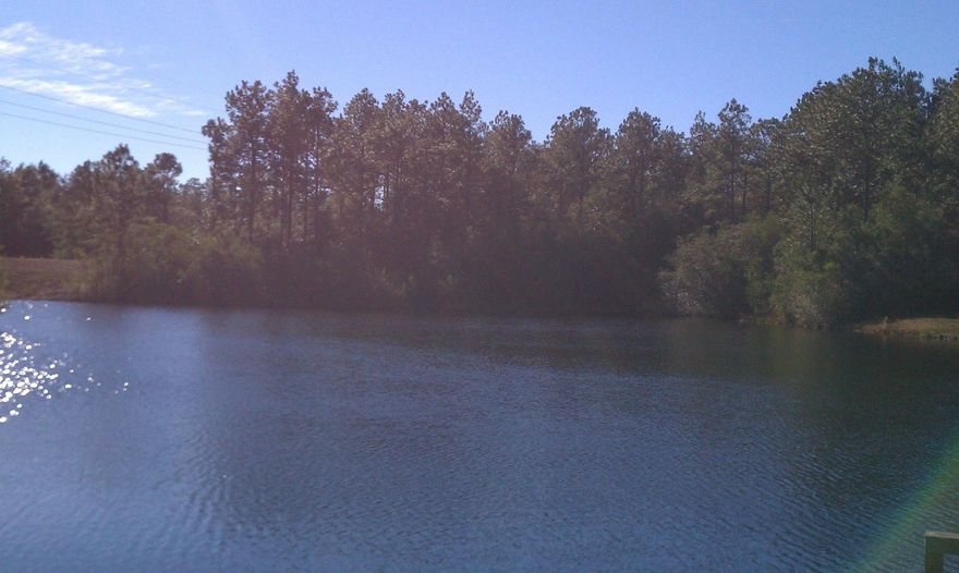 BEAUTIFUL 3.2 UNDEVELOPED LAND SITUATED ON BEAUTIFUL DUCK POND LOCATED OFF HWY 90. MOBILE/MODULAR HOMES ALLOWED. OWNER WILL CONSIDER OWNER FINANCING WITH 10% DOWN. PROPERTY IS ACCESSED BY EASEMENT.