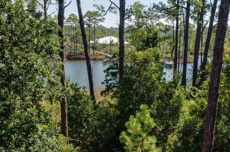 Absolutely spectacular large lot located on the deep water of Hewitt Bayou in the gated community of Botany Bayou. This lot has over 100 feet of bayou frontage, a 250 foot boardwalk winding through the property which leads to a generous sized dock for fishing and boating pleasure. Hewitt Bayou opens up to the Choctawhatchee Bay and from there you are boating in the Gulf within minutes. This lot has mature magnolias, pines, oaks, and grasses and it offers the best of both worlds - waterfront and secluded lush nature preserve. Botany Bayou has a community pool, a community dock and hiking trails leading to the state forest. This lot is located near Sacred Heart Hospital, Sandestin, the shops and dining at Grand Boulevard, and the world famous beaches of the Emerald Coast. End your day