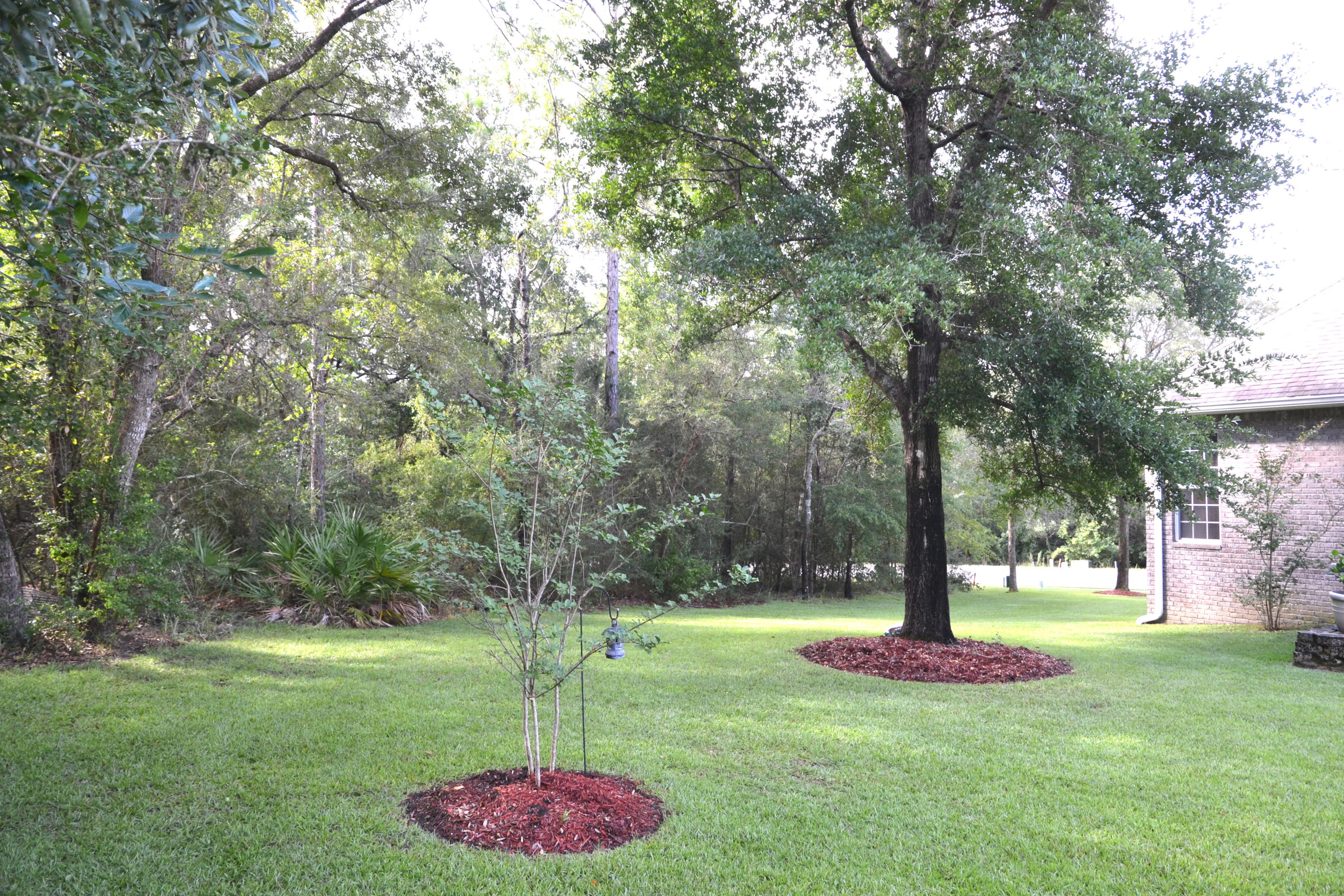 FOX VALLEY PH II - Residential