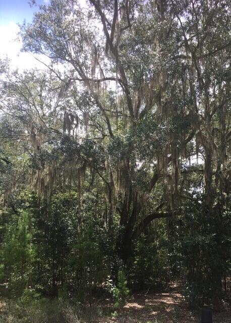 MAGNOLIA BAY - Residential