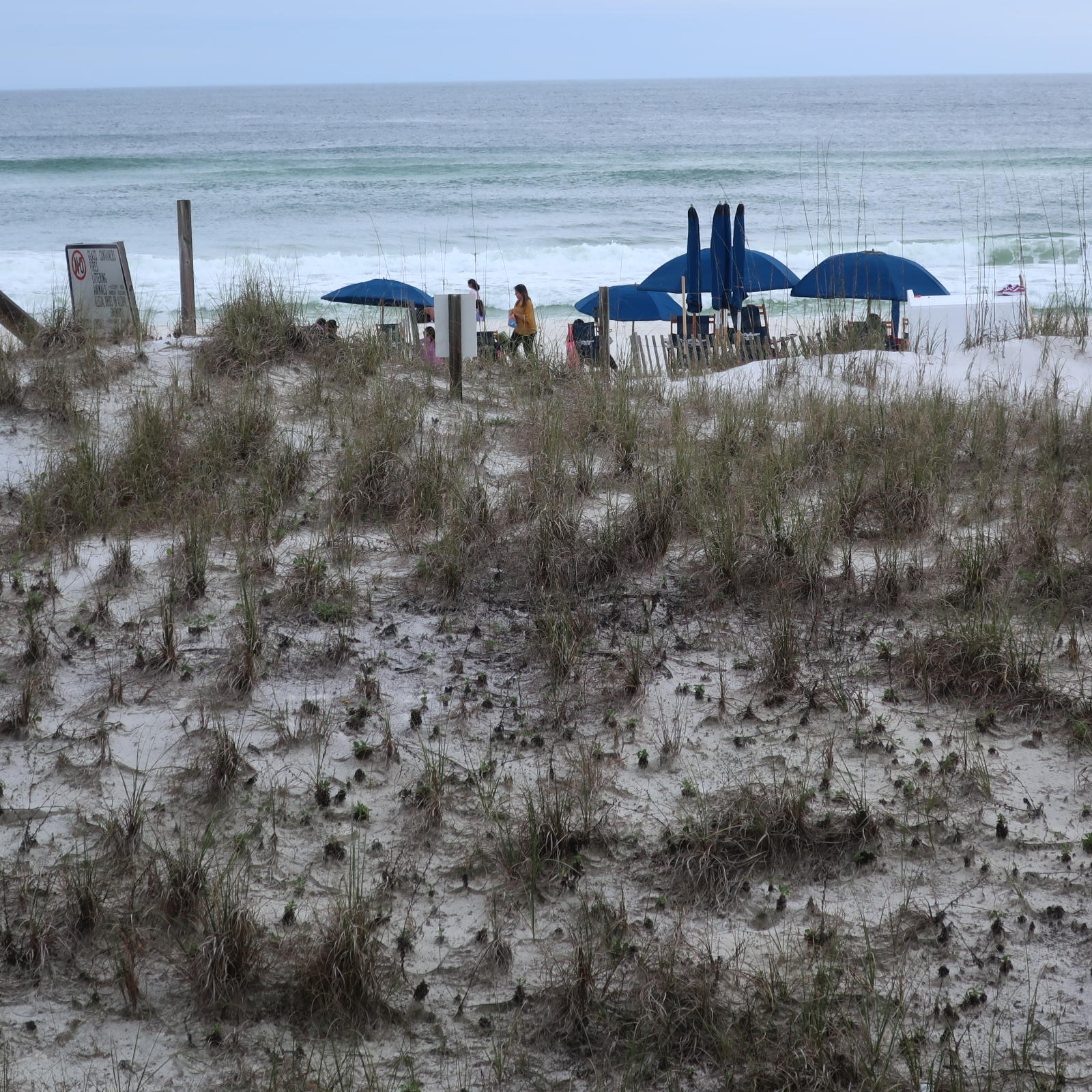 PELICAN ISLE - Residential