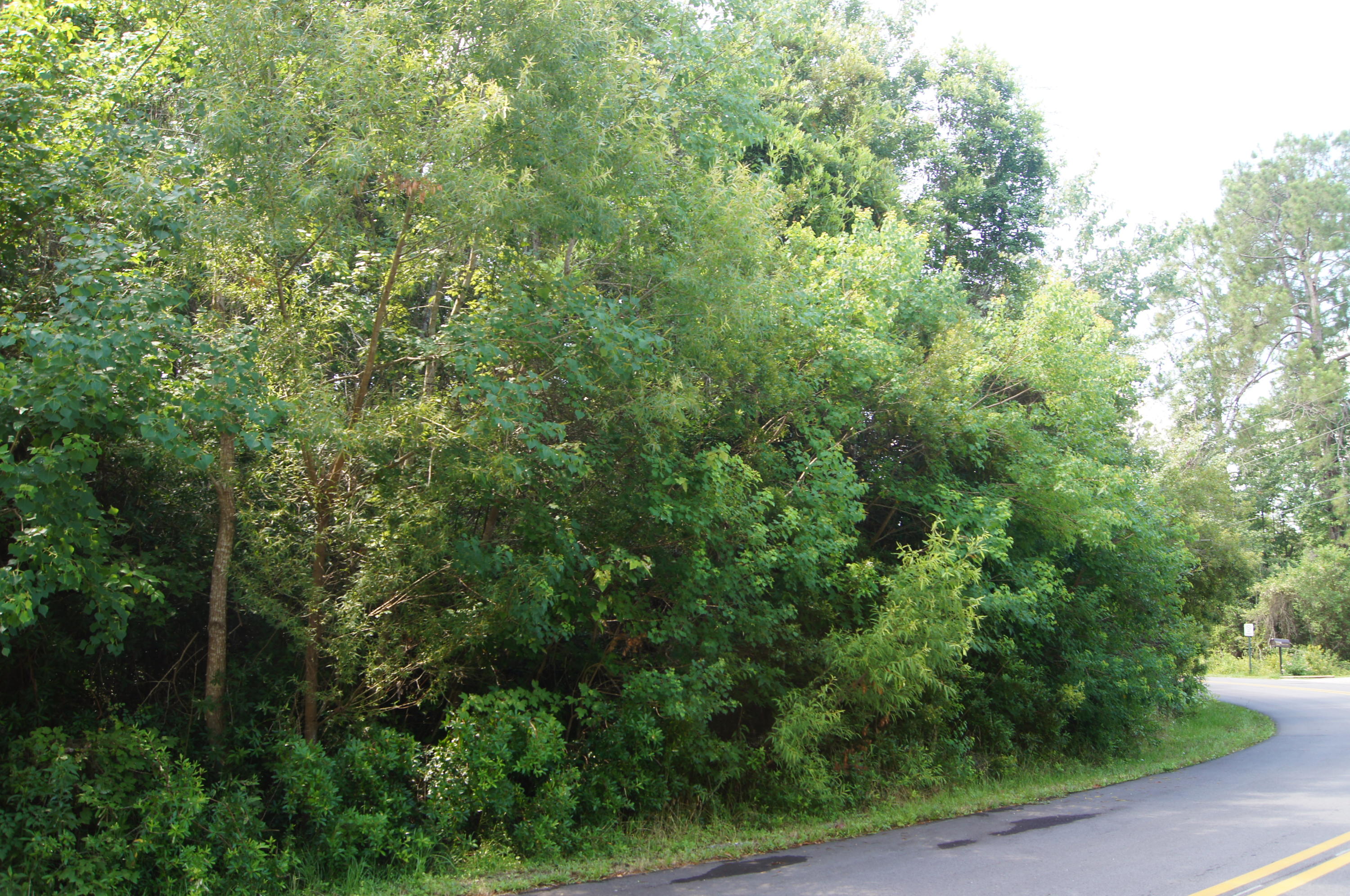 EMERALD SHORES - Land