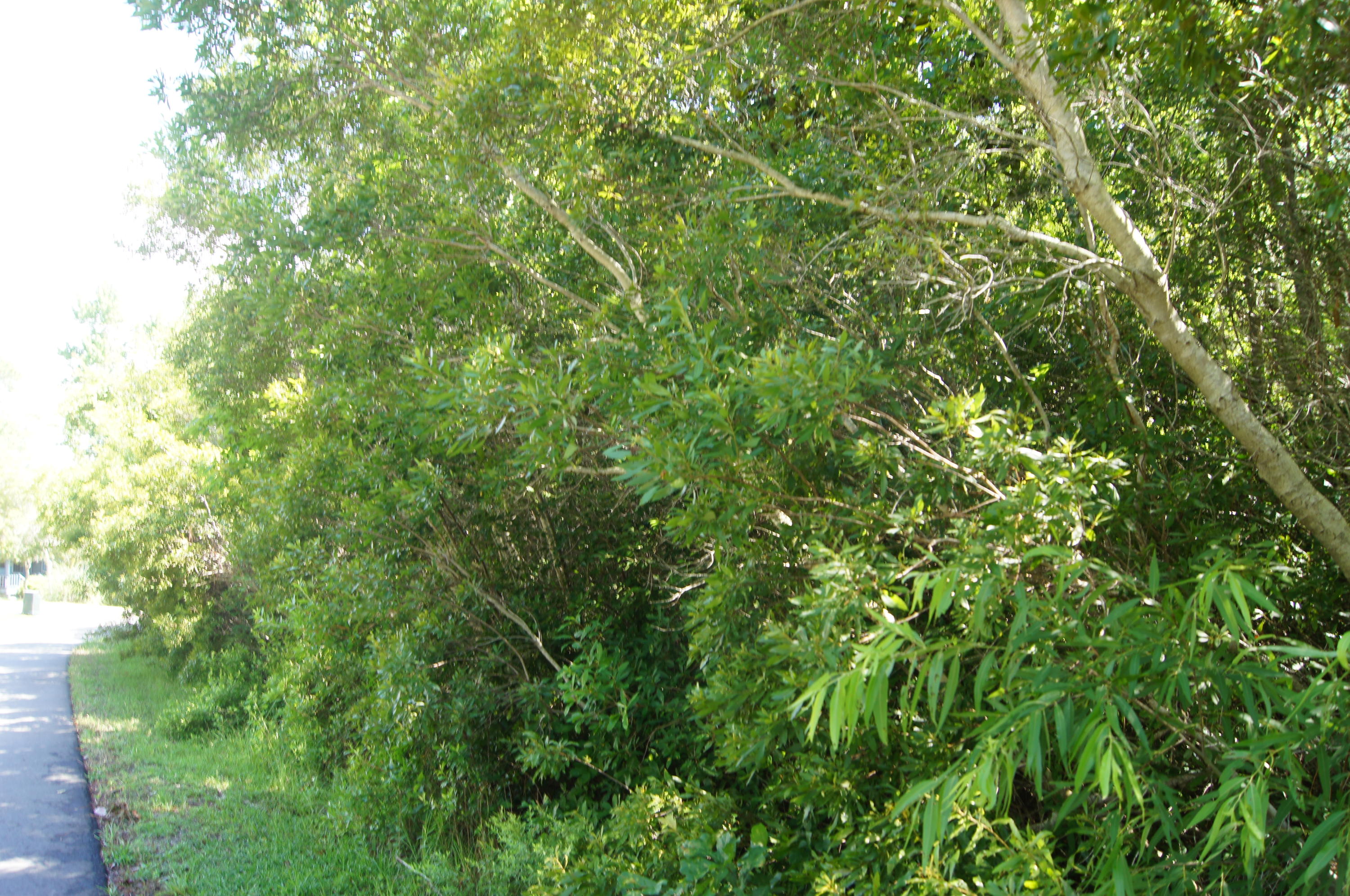 EMERALD SHORES - Land