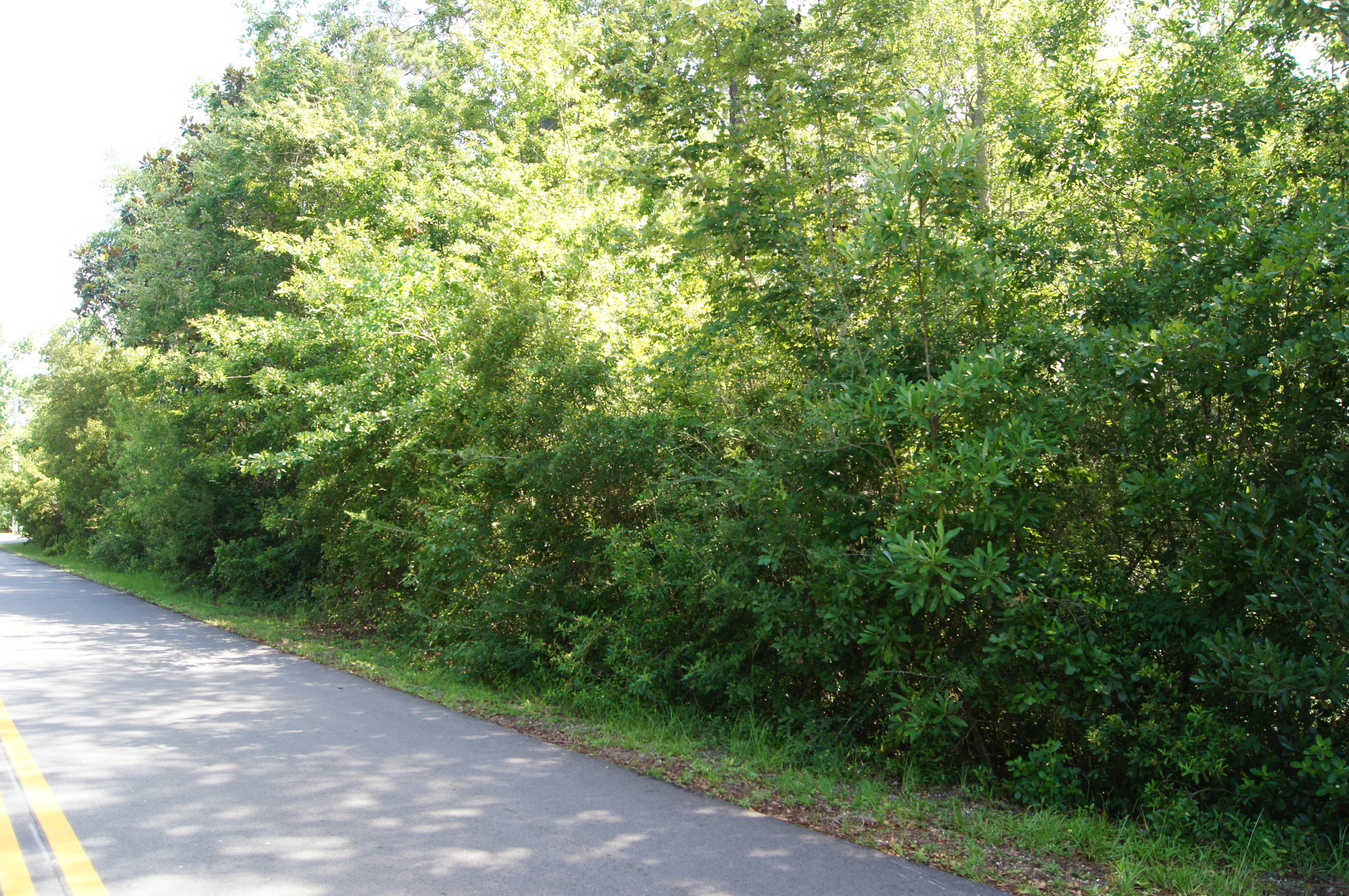 EMERALD SHORES - Land