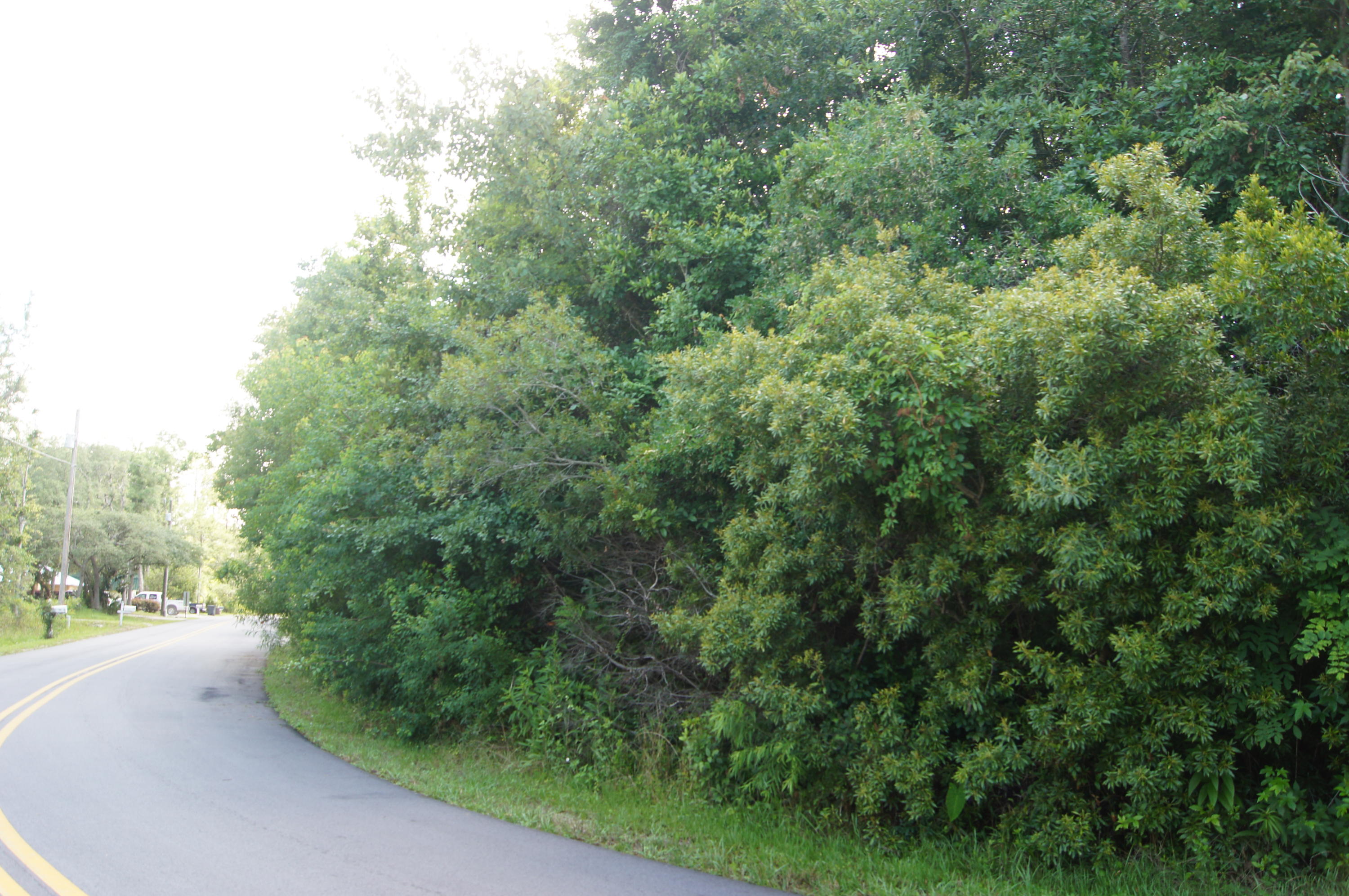 EMERALD SHORES - Land