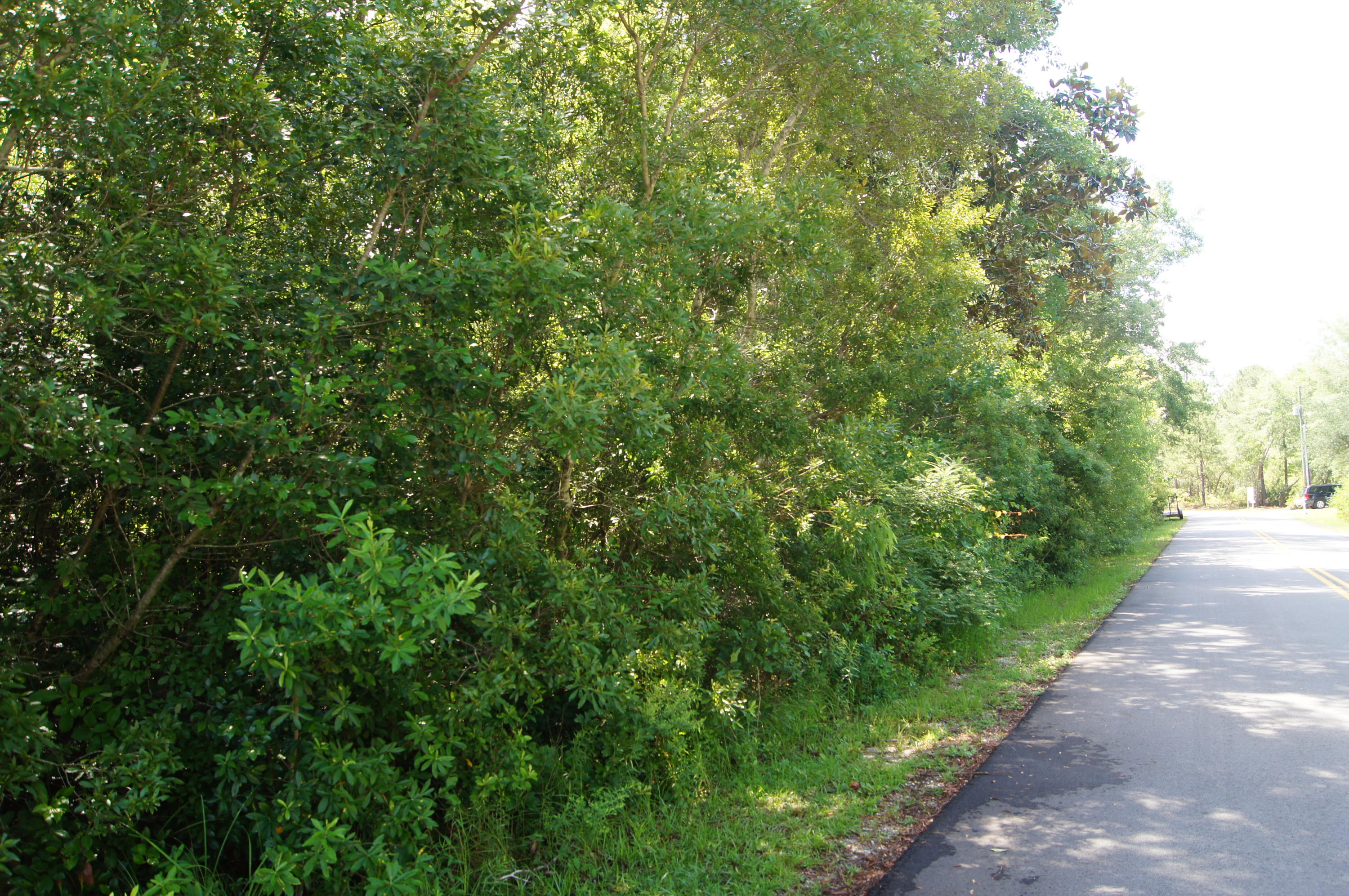 EMERALD SHORES - Land