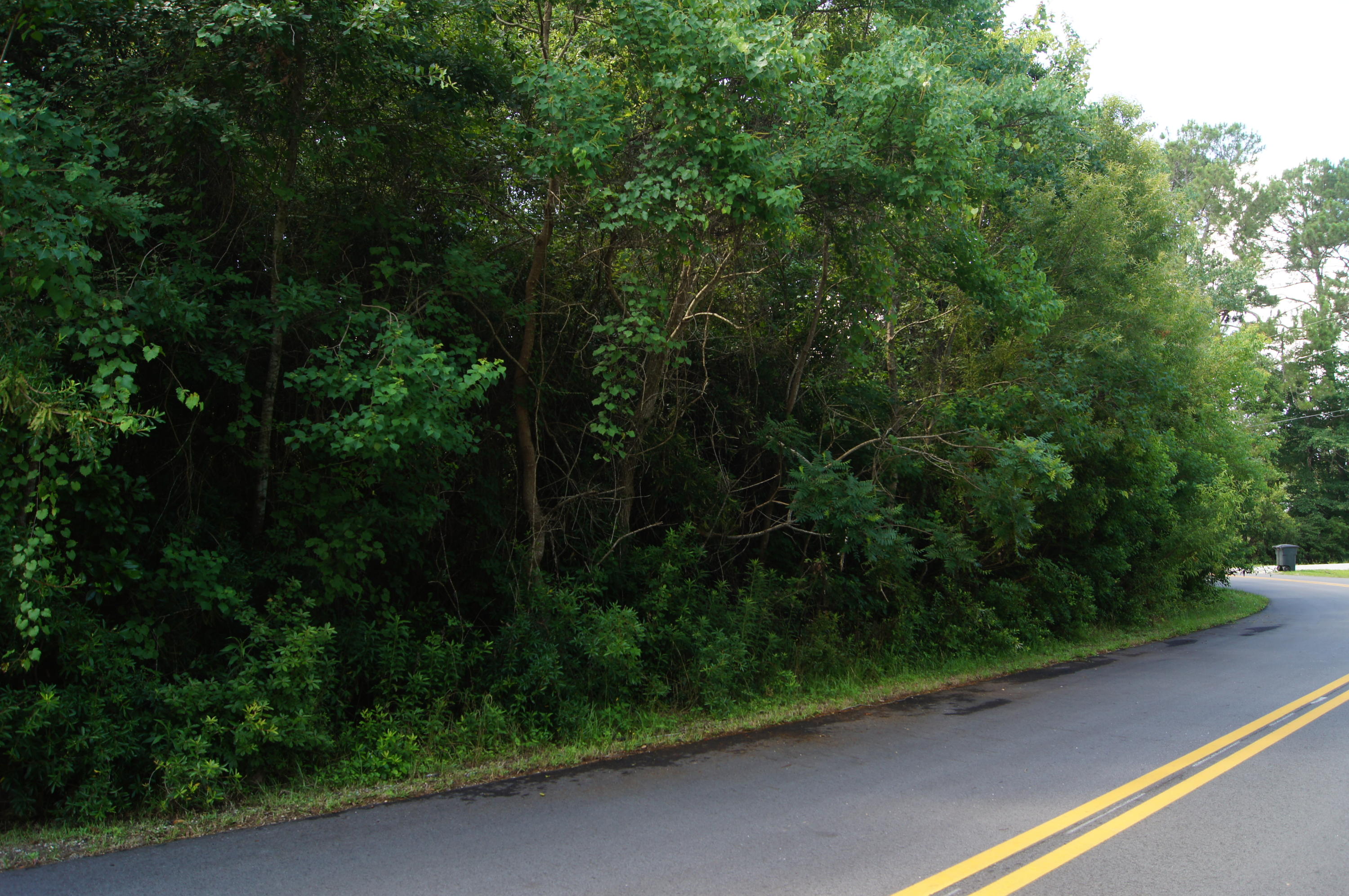 EMERALD SHORES - Land