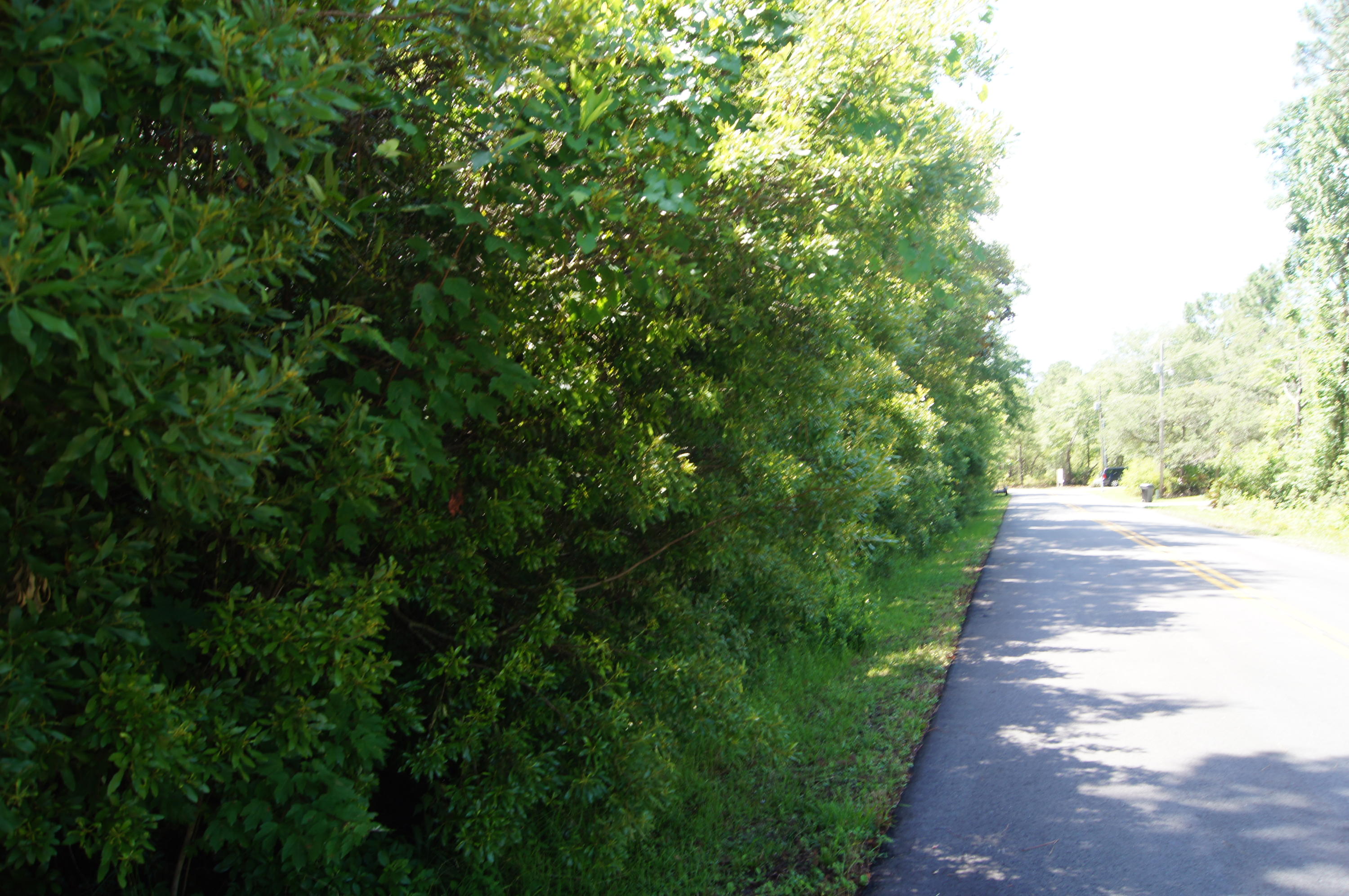 EMERALD SHORES - Land