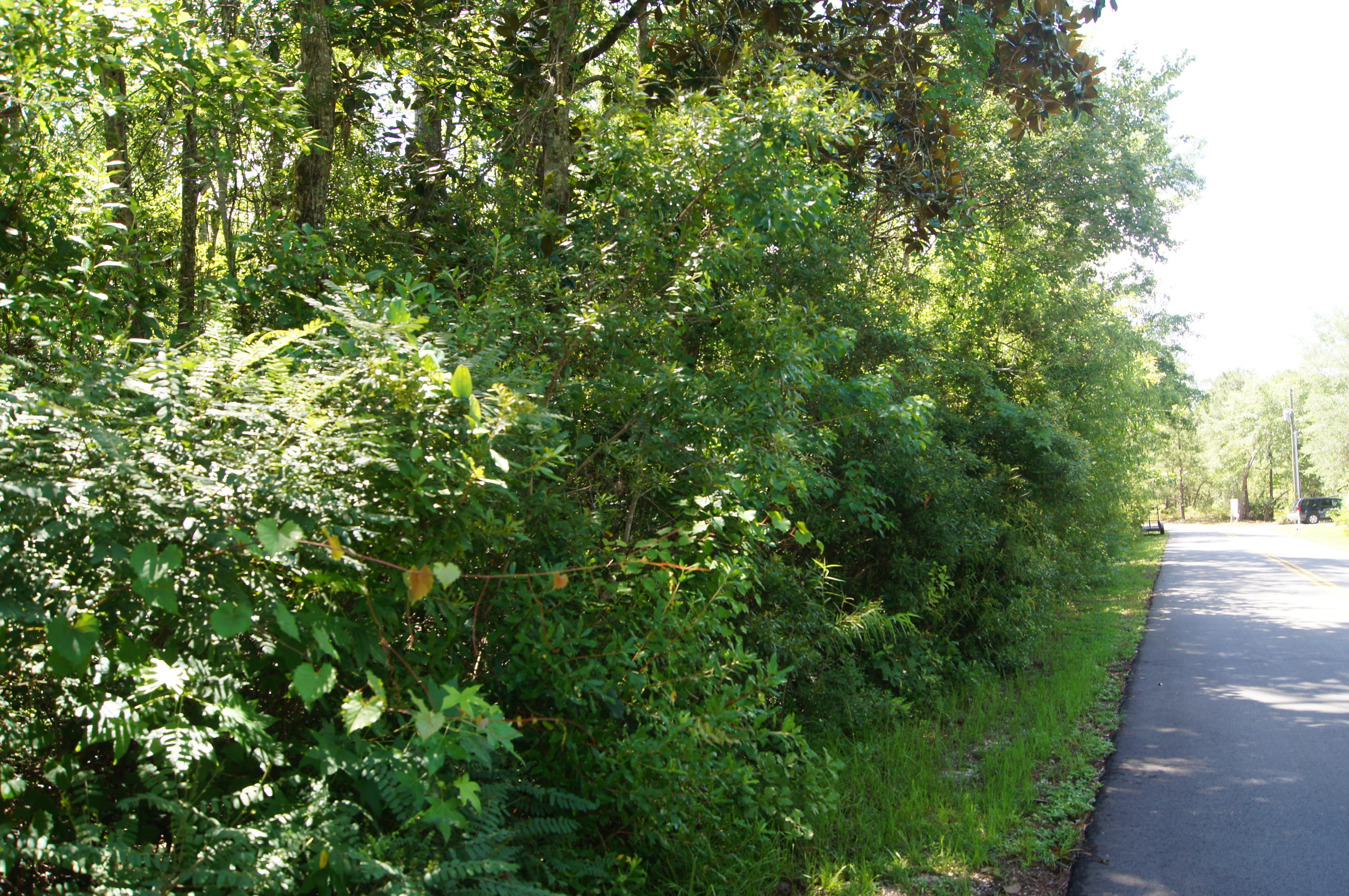 EMERALD SHORES - Land