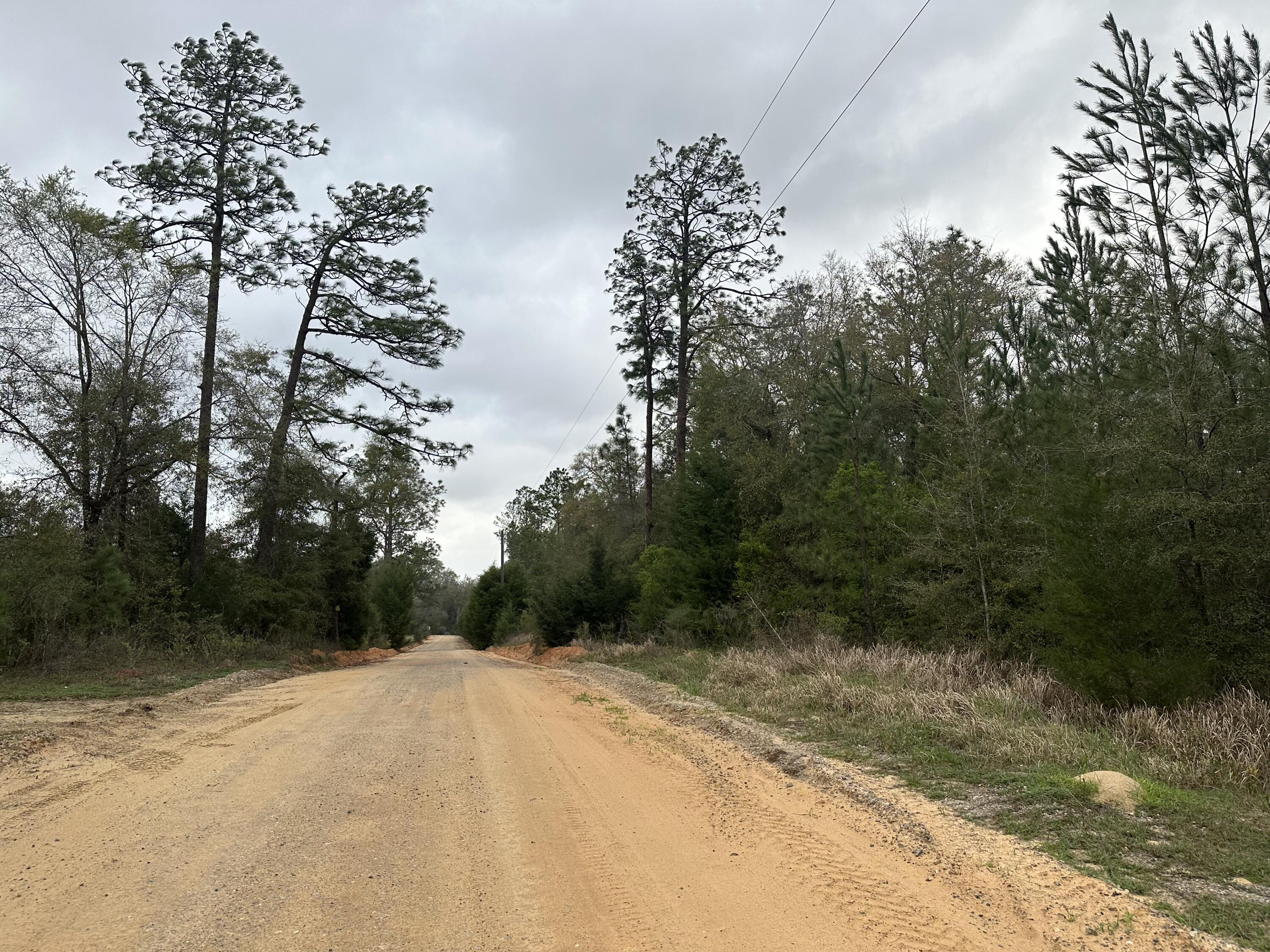 Dream Location for Country Living or Hunters Paradise either way you won't want to miss this opportunity! This Beautiful 18.52+/- Acres of prime land has so much to offer, a stream runs through a portion of the property giving approximate 6.5 +/- Acres of Dry ground., Power is available. Turkey season coming soon! Bring your build plans, hunting gear, Horses and ATVS LOCATION LOCATION!!!! This Property has Easy Access to Panama City Beaches I-10, Hwy 79, Hwy 81, and Hwy 90. Additional land available