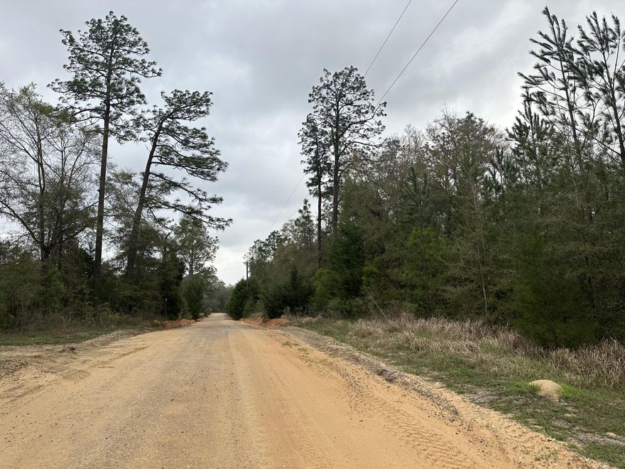 Dream Location for Country Living or Hunters Paradise either way you won't want to miss this opportunity! This Beautiful 18.52+/- Acres of prime land has so much to offer, a  stream runs through a portion of the property giving approximate 6.5 +/- Acres of Dry ground., Power is available. Turkey season coming soon! Bring your build plans, hunting gear, Horses and ATVS LOCATION LOCATION!!!! This Property has Easy Access to Panama City Beaches I-10, Hwy 79, Hwy 81, and Hwy 90. Additional land available
