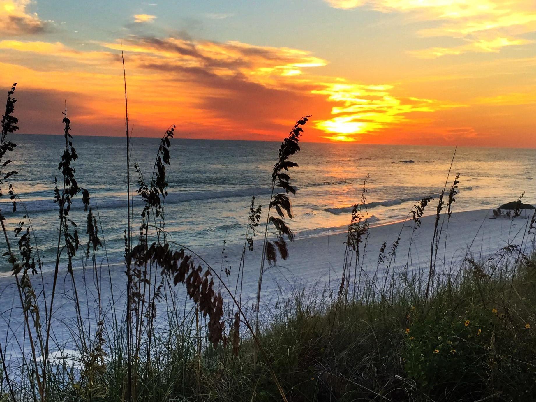 SEA DUNES - Residential