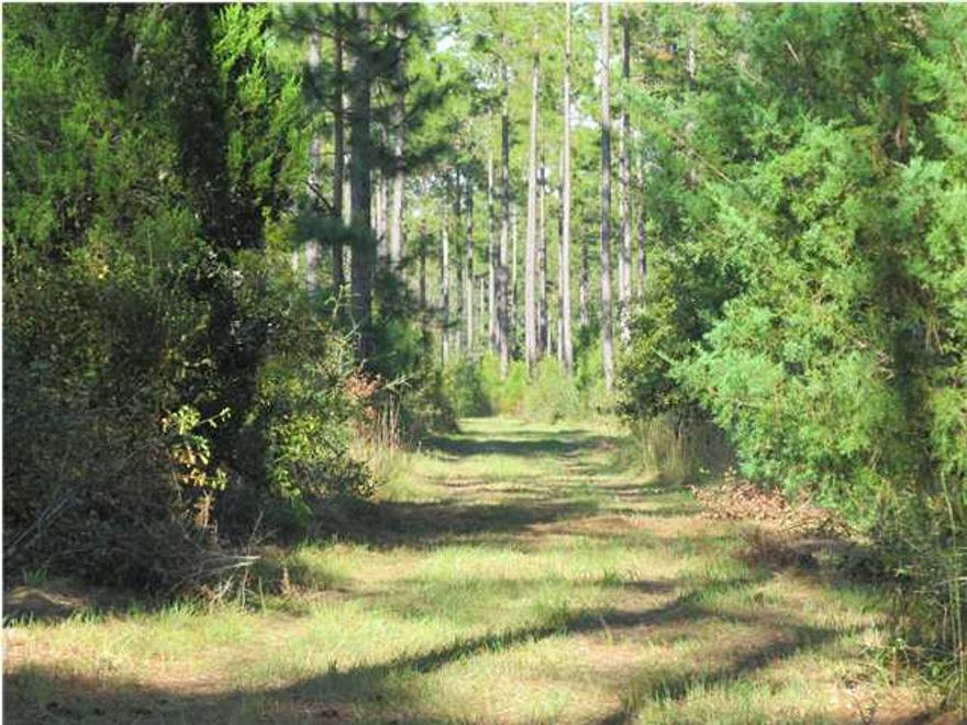 Attention Gentlemen Farmers. Now is your chance to own an original 119.5 acre Walton County Family Farm! Approximately 40 acres is in terraced pasture, fenced with pole barn. Perfect for grazing cattle. The additional 79.5 acres is a hunters dream come true. The eastern 79.5 acres of the farm is a mix of green fields, hardwoods and 30 year old planted pines. The two small man made ponds are perfect watering holes for ducks, migratory dove and wild game of all types. The seller has developed plenty of solid trails through out the property making access smooth and easy. Raise cattle, board your horses, hunt or just enjoy the natural beauty of North Walton County farm land at its finest. Shown by appointment. 24 hours notice please. Listing agent must be present to show..
