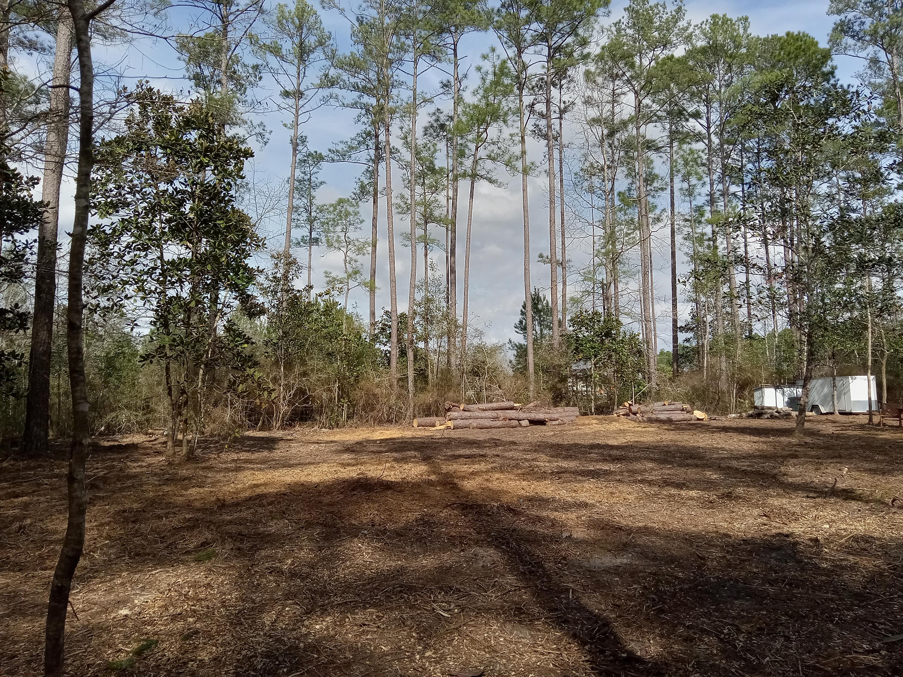 Three acres vacant Land on paved road within minutes to new Publix Grocery in Freeport.  Partially wooded & secluded.  No HOA and great privacy.  Build that new home or place a modular or mobile.  Property has been partially cleared for homesite.  Property has been approved for a septic system and the fees have been paid.  Permit is shown in 'documents'.  In addition, Jurisdictional Wetland Assessment has also been done and that document is also available.  There is 2.38 acres of 'UPLANDS'.  The uplands portion is all on the front portion of the 3+ acres.  There is a small stream in the rear of the property that flows along the West boundary line.  Buyer to verify any information deemed important.  All measurements are approximate.