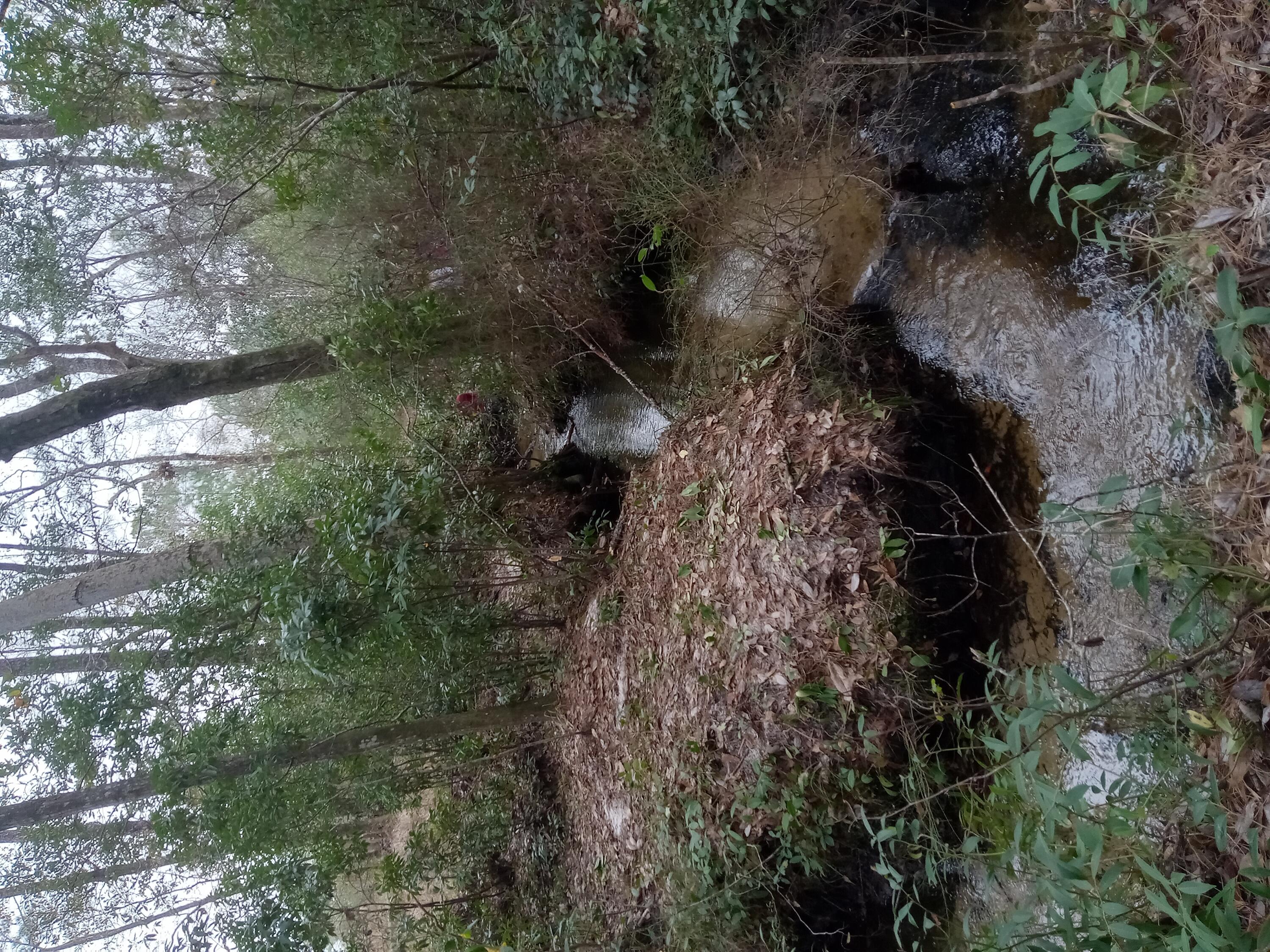 INDIAN CREEK RANCHETTES UNREC - Land