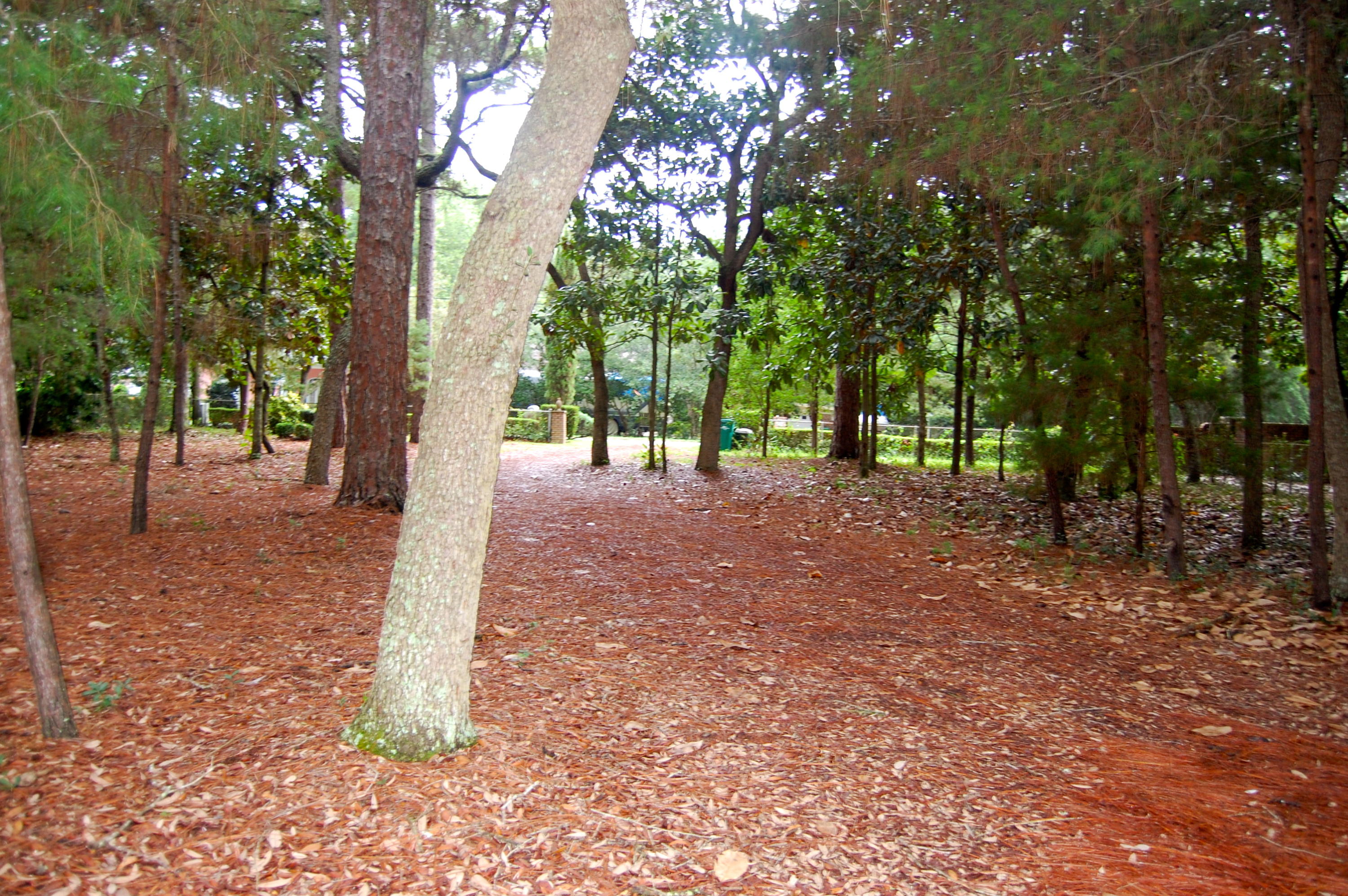 BAYOU POQUITO - Residential