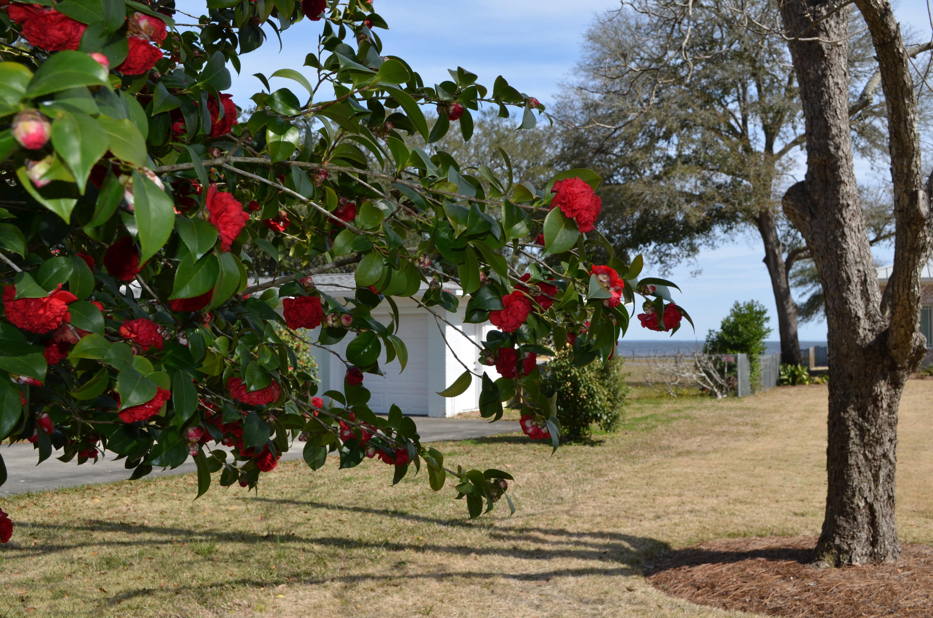 4th Addition Elliott PT - Residential