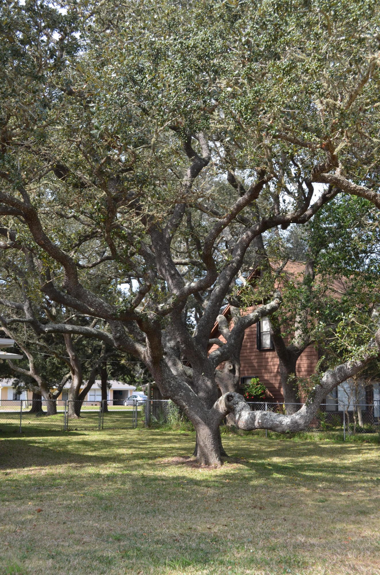 4th Addition Elliott PT - Residential