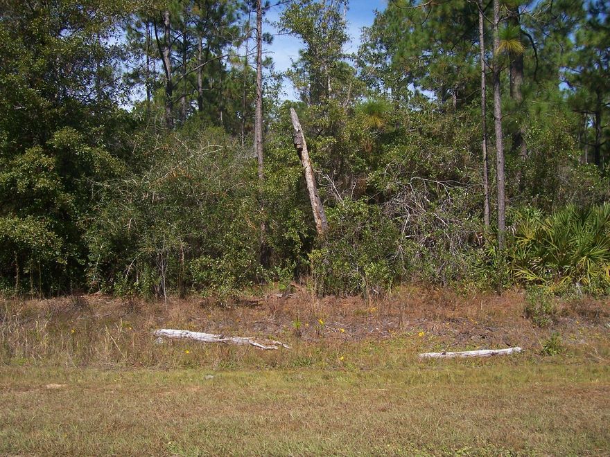 Affordable Avalon Beach lot w/ Paved Road Access!  Build your dream home on this beautiful wooded lot, conveniently located to water access, boat launch, Shopping, Restaurants I-10, Milton, Pensacola, Hospitals and area beaches.  All information to be verified by the buyer.