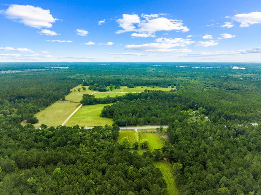 Experience the ultimate in privacy and tranquility with this stunning 90-acre tract nestled in the heart of Freeport, Florida; one of the last remaining large tracts found on the desirable County Hwy 83A (Bayloop Rd.) This expansive property offers endless possibilities for development, recreation, or conservation. Enjoy breath taking views, cleared pastures, and abundant wildlife, all just minutes from the charming town of Freeport, some of the World's Most Beautiful Beaches, and waterways of the Choctawhatchee Bay. With its prime location, this tract is perfect for investors, developers, or those seeking a serene retreat. Don't miss out on this rare opportunity to own a piece of paradise in one of Florida's most desirable locations. Contact us today to schedule a viewing and make your vision a reality.