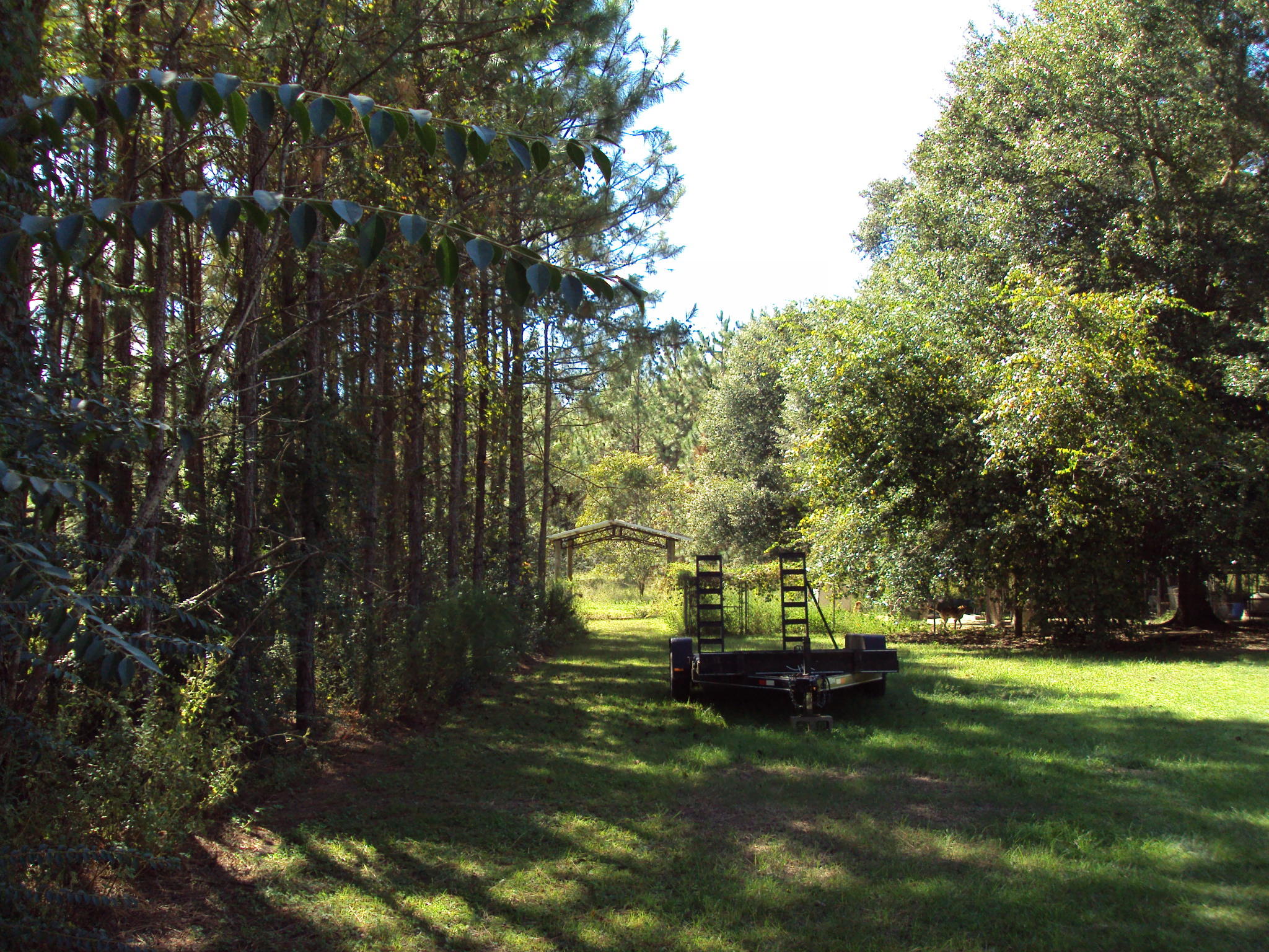two acres of vacant land on Reeves Just off Galiver cutoff, in Baker, 600 ft. away from the convenience Store in Baker,Good location for any type Business