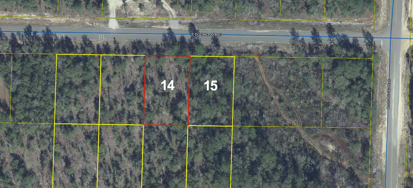 Wooded lots on a paved road in the fast growing Mossy Head area, approximately 10 minutes from historic downtown DeFuniak Springs, voted the Best Small Town in Florida by MainStreet USA.