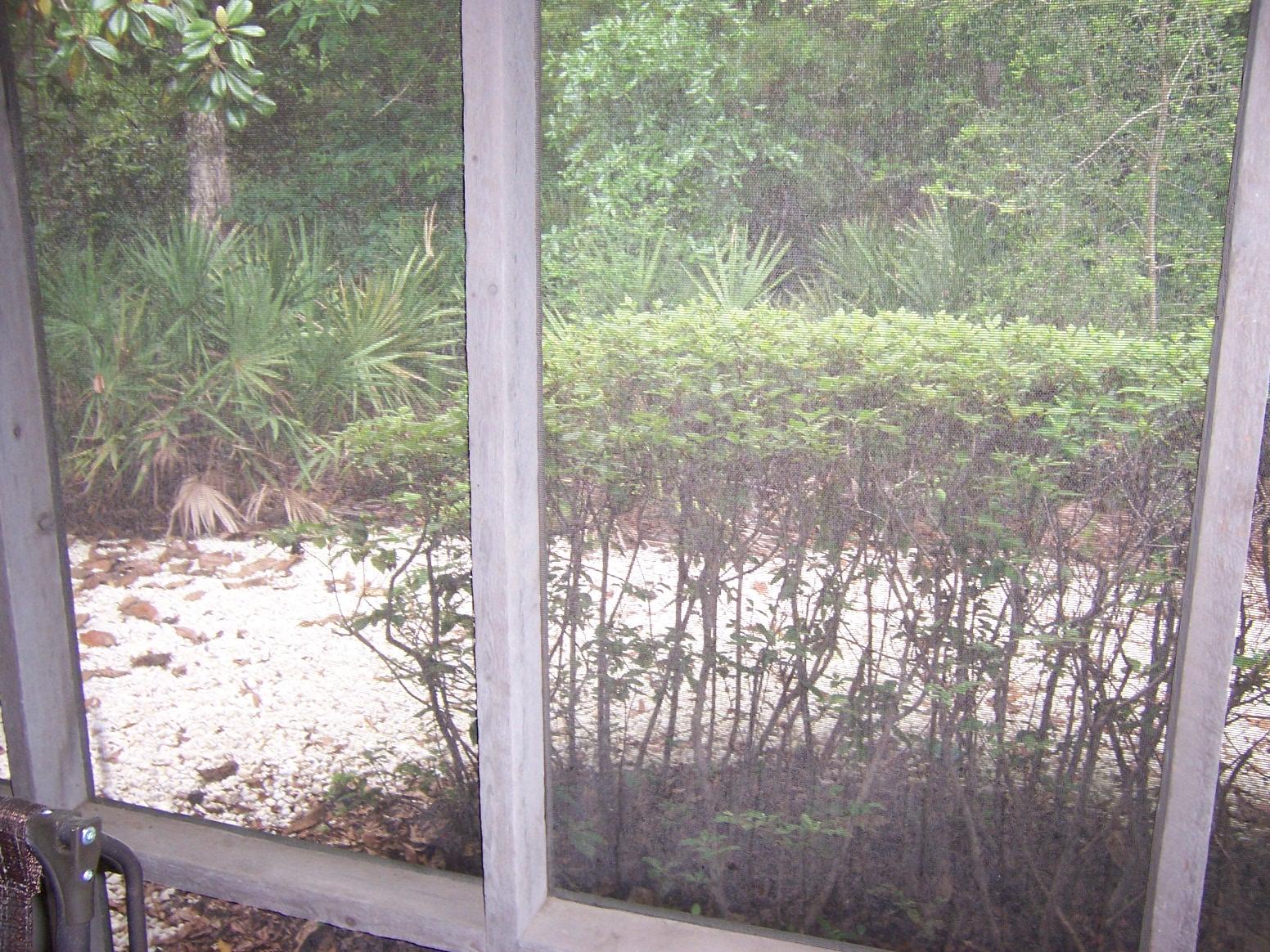 ROYAL OAK VILLAS BLUEWATER BAY - Residential Lease