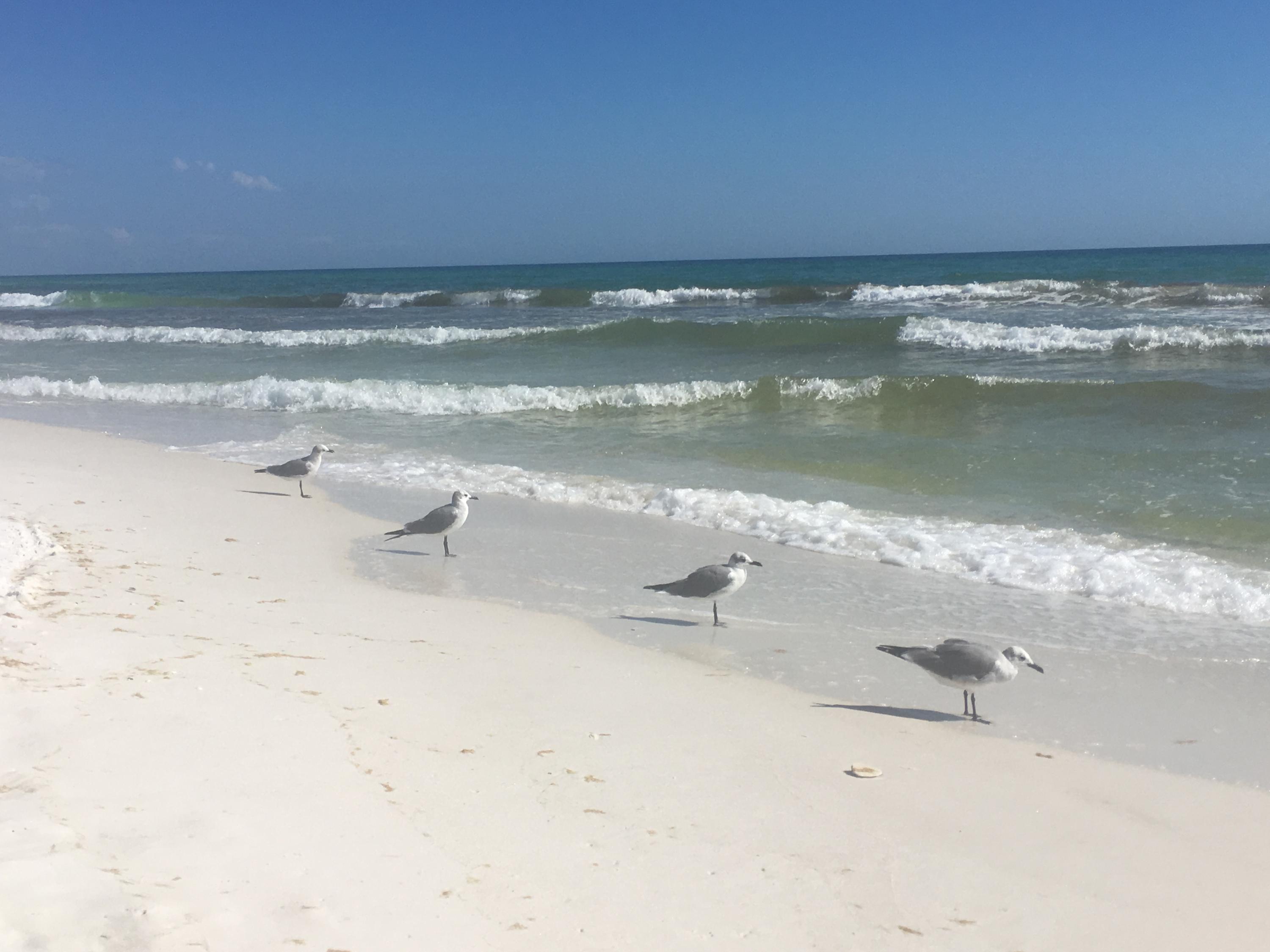 SANDPIPER COVE PH 19 - Residential